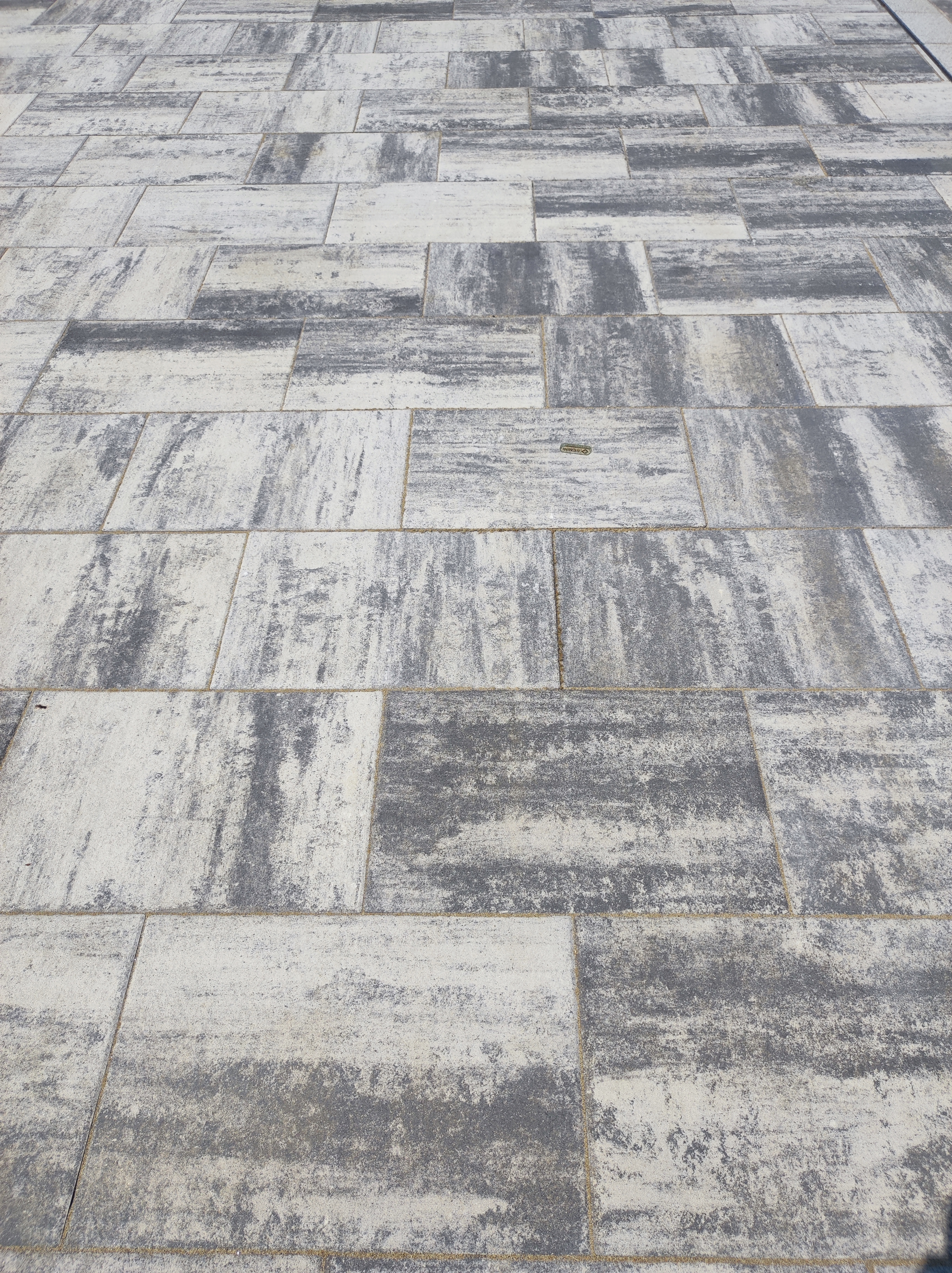 immagine di galleria