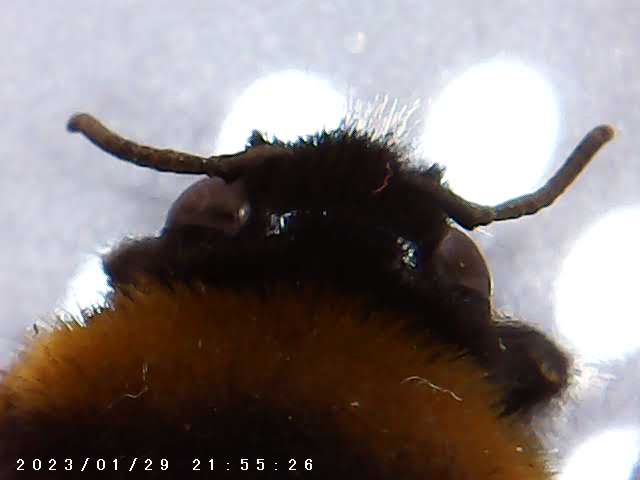 immagine di galleria