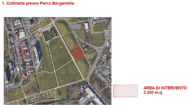 immagine di galleria