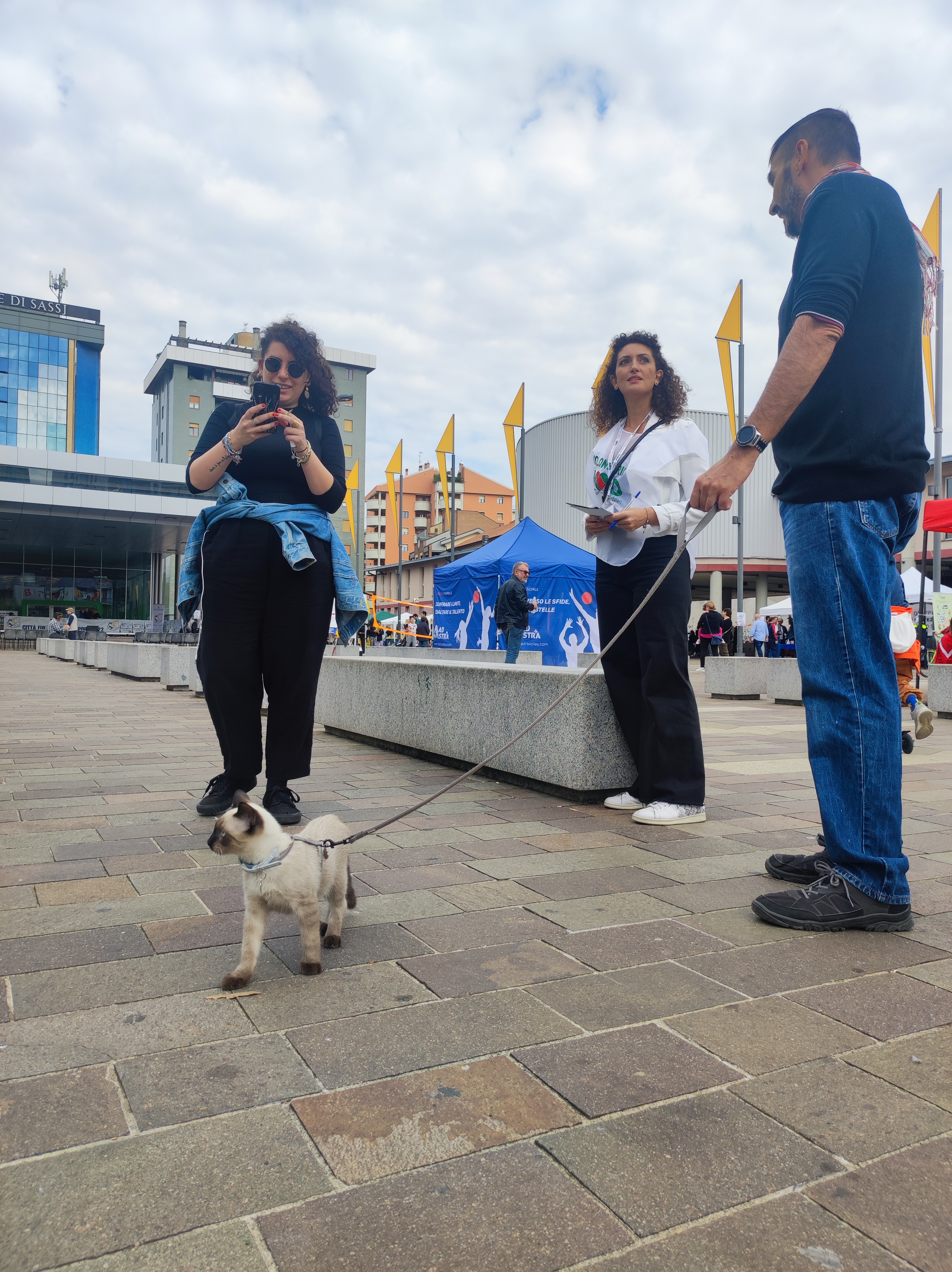 immagine di galleria