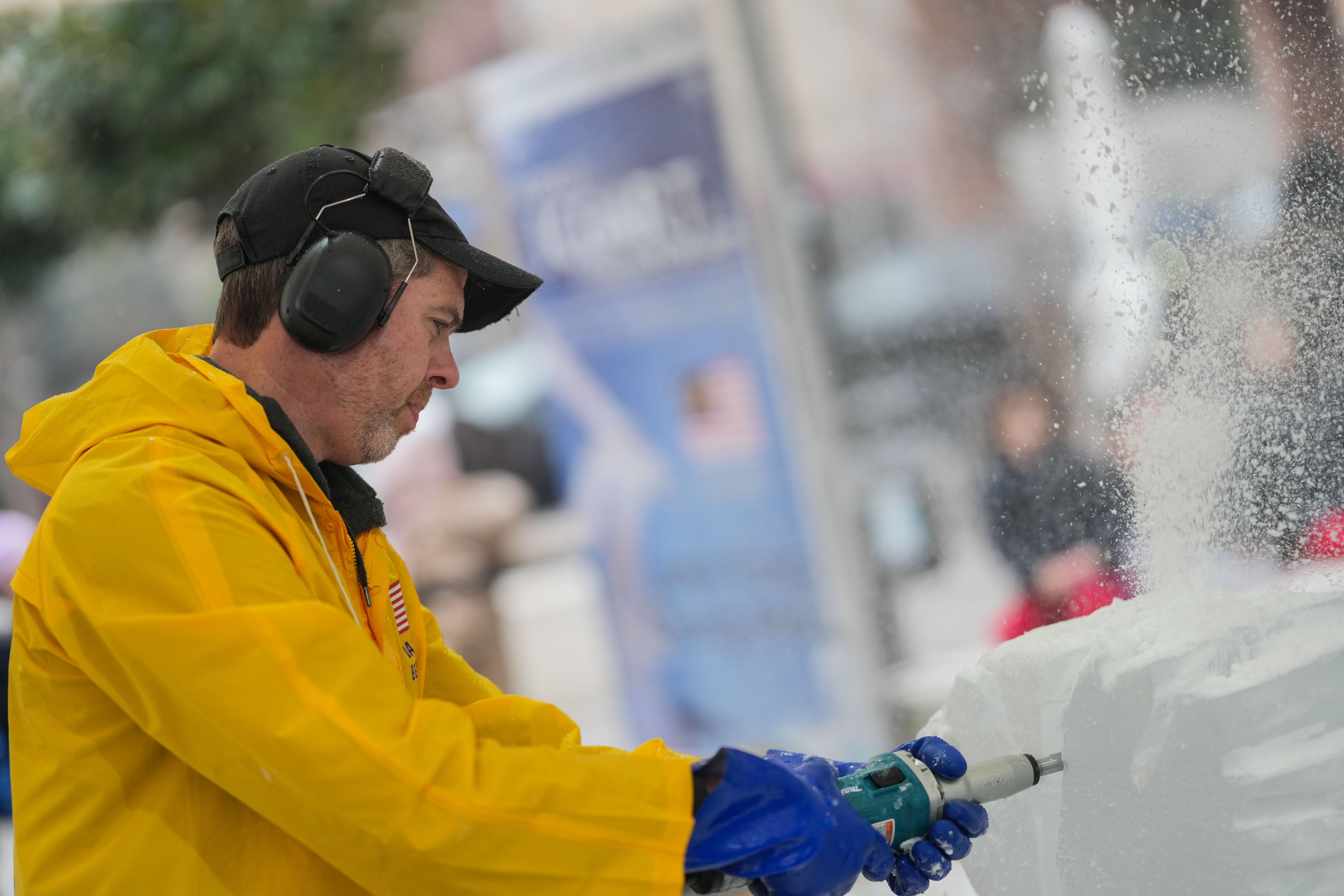 immagine di galleria