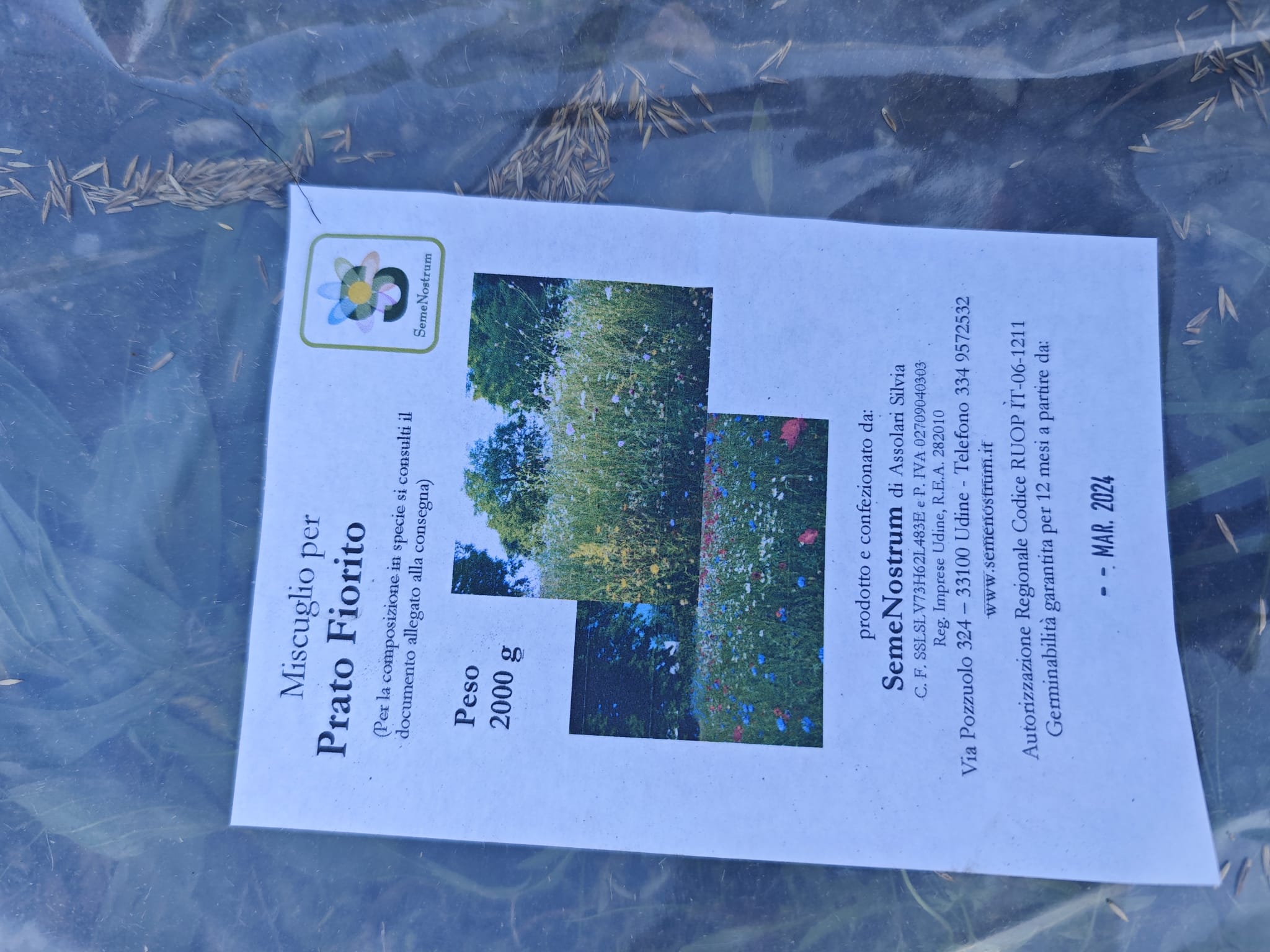 immagine di galleria