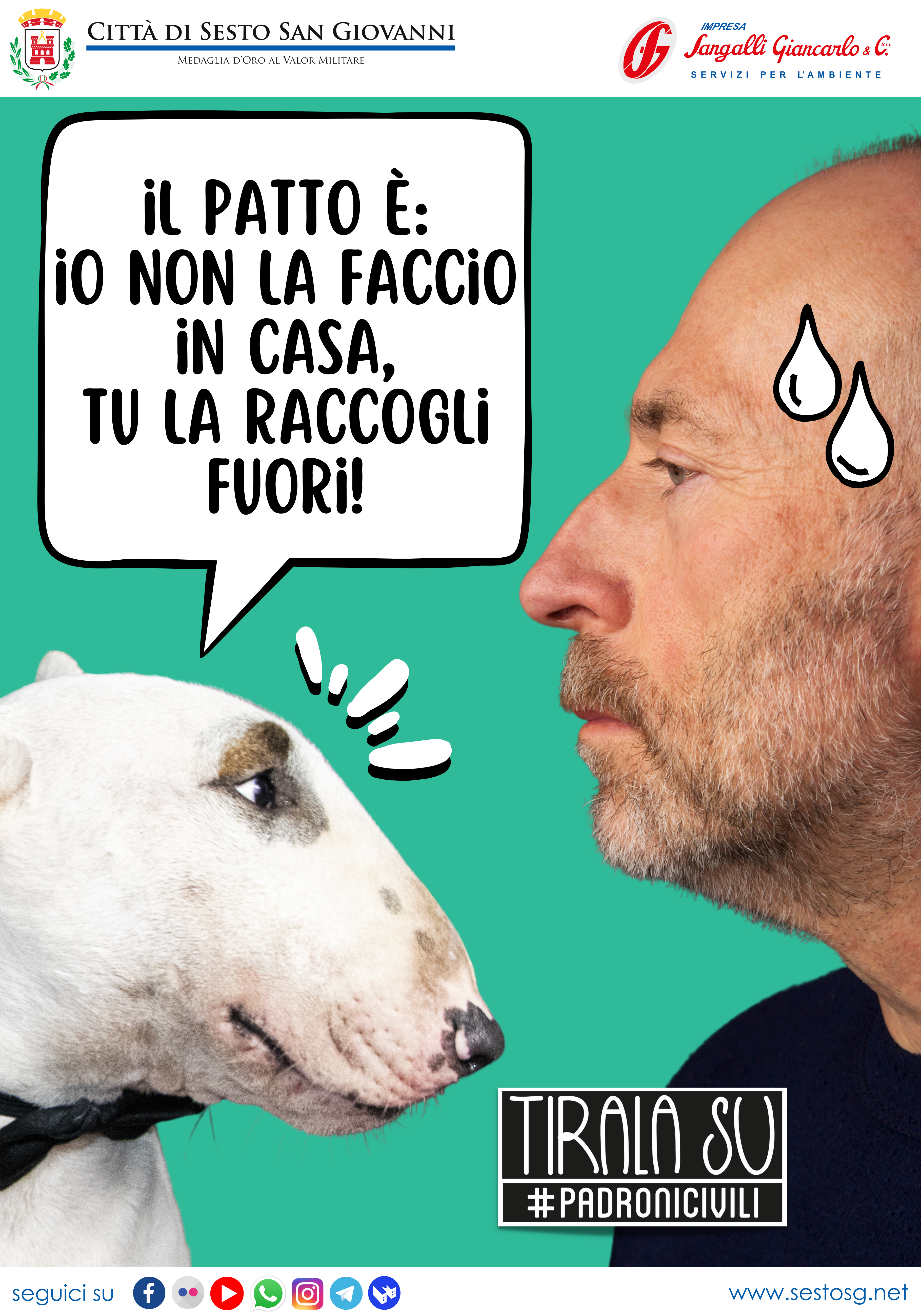 immagine di galleria