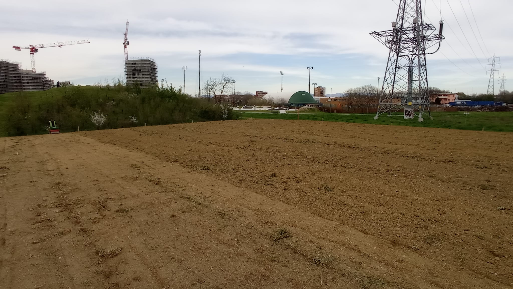 immagine di galleria