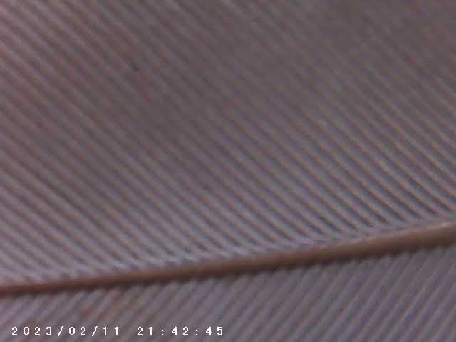 immagine di galleria