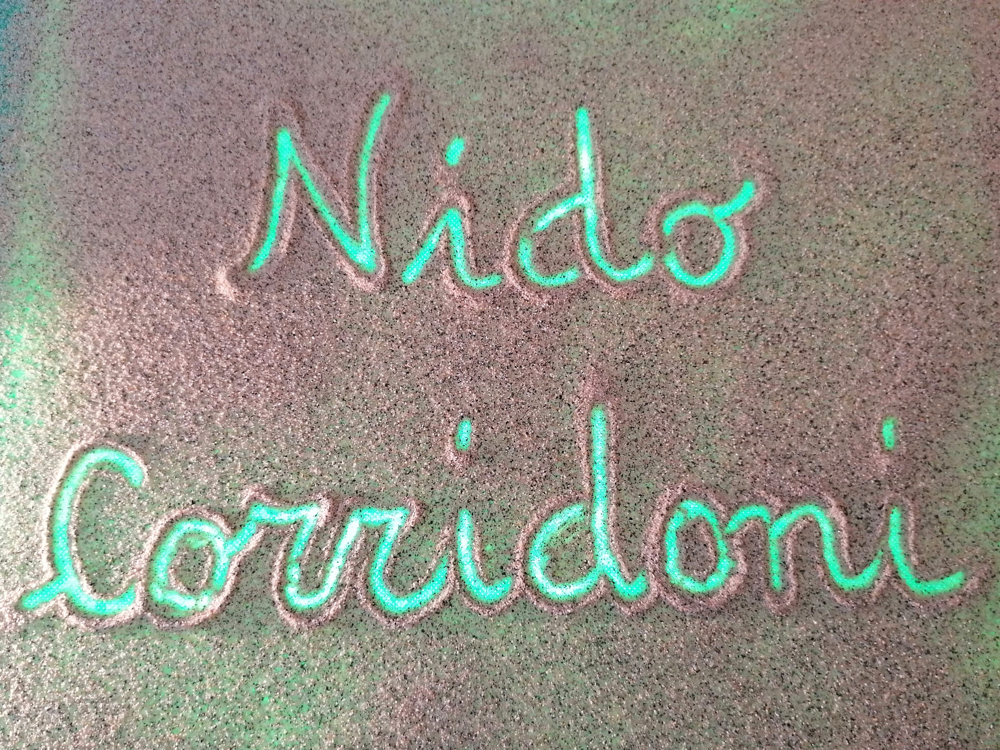 immagine di galleria 'Asilo Corridoni'