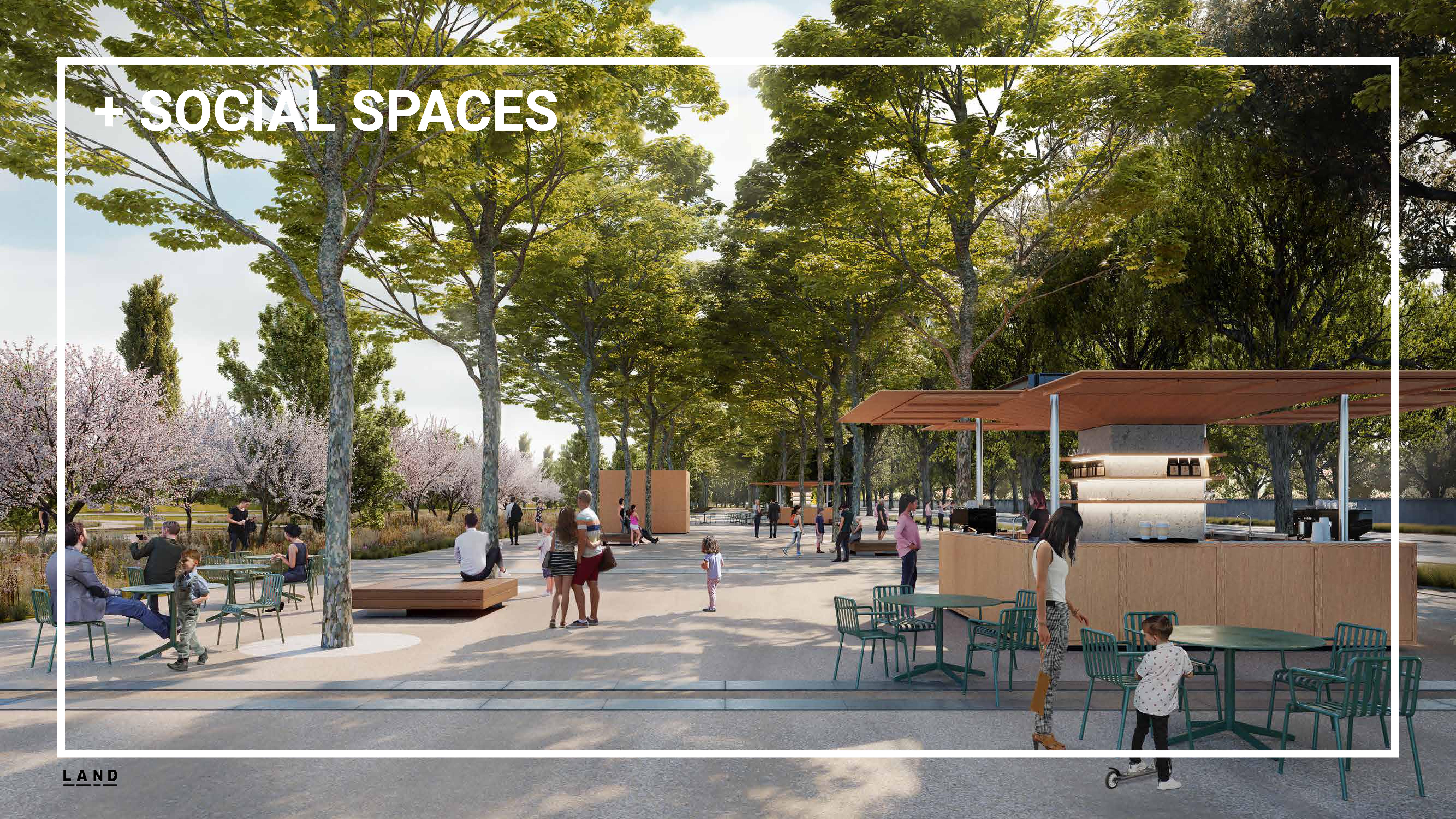 immagine di galleria