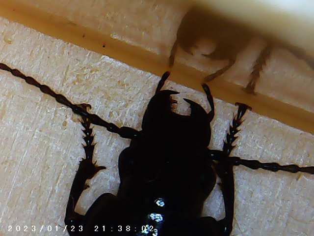 immagine di galleria