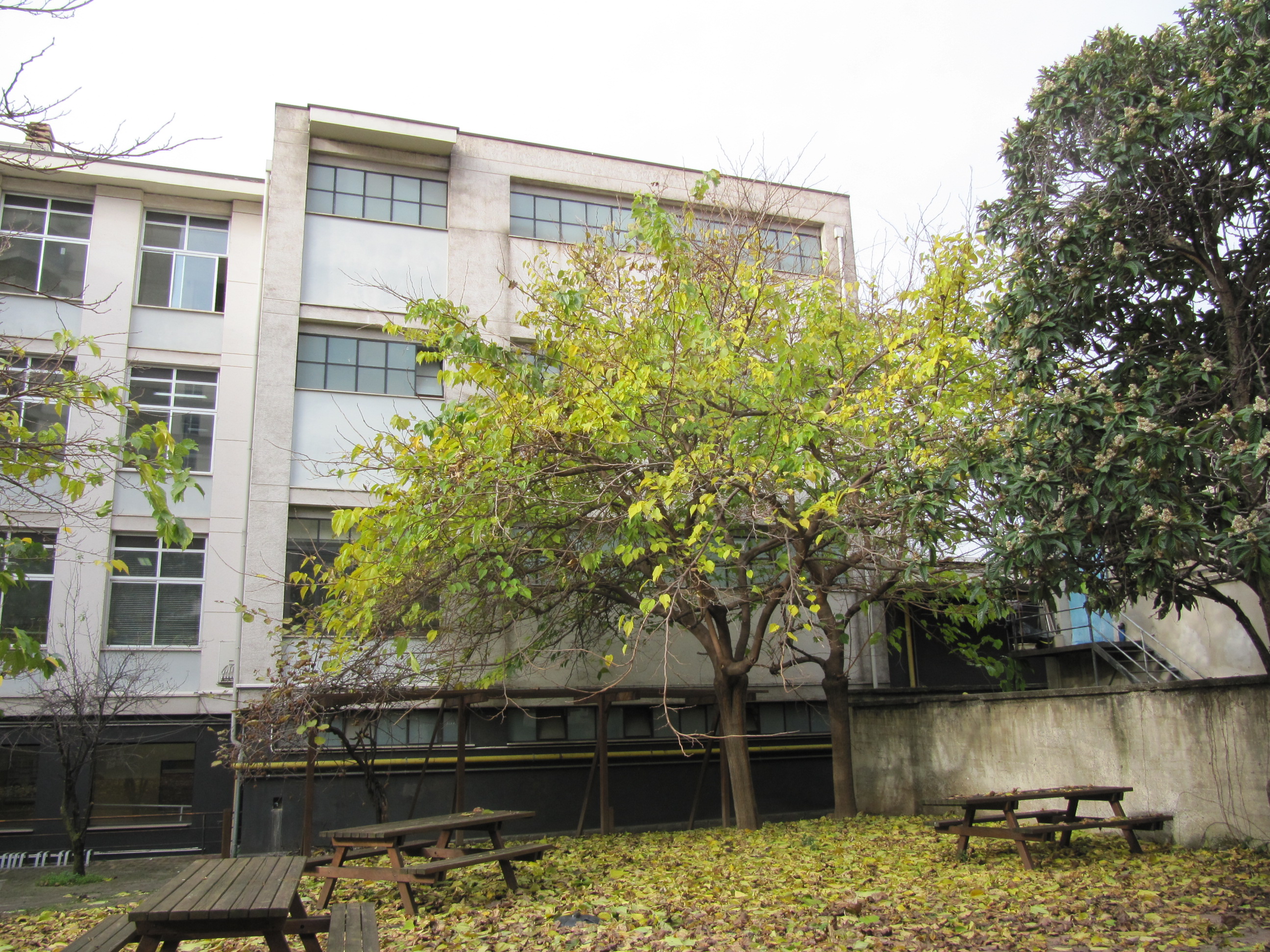 immagine di galleria 'Scuola Forlanini – PNRR'