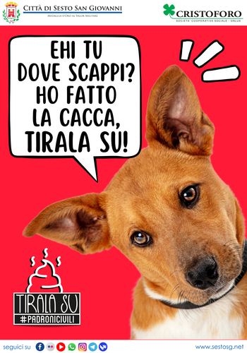immagine di galleria 'Hai un cane? Devi raccogliere la sua cacca'