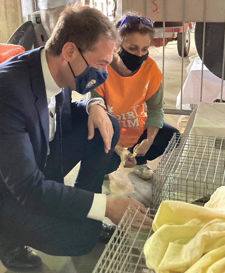 immagine di galleria