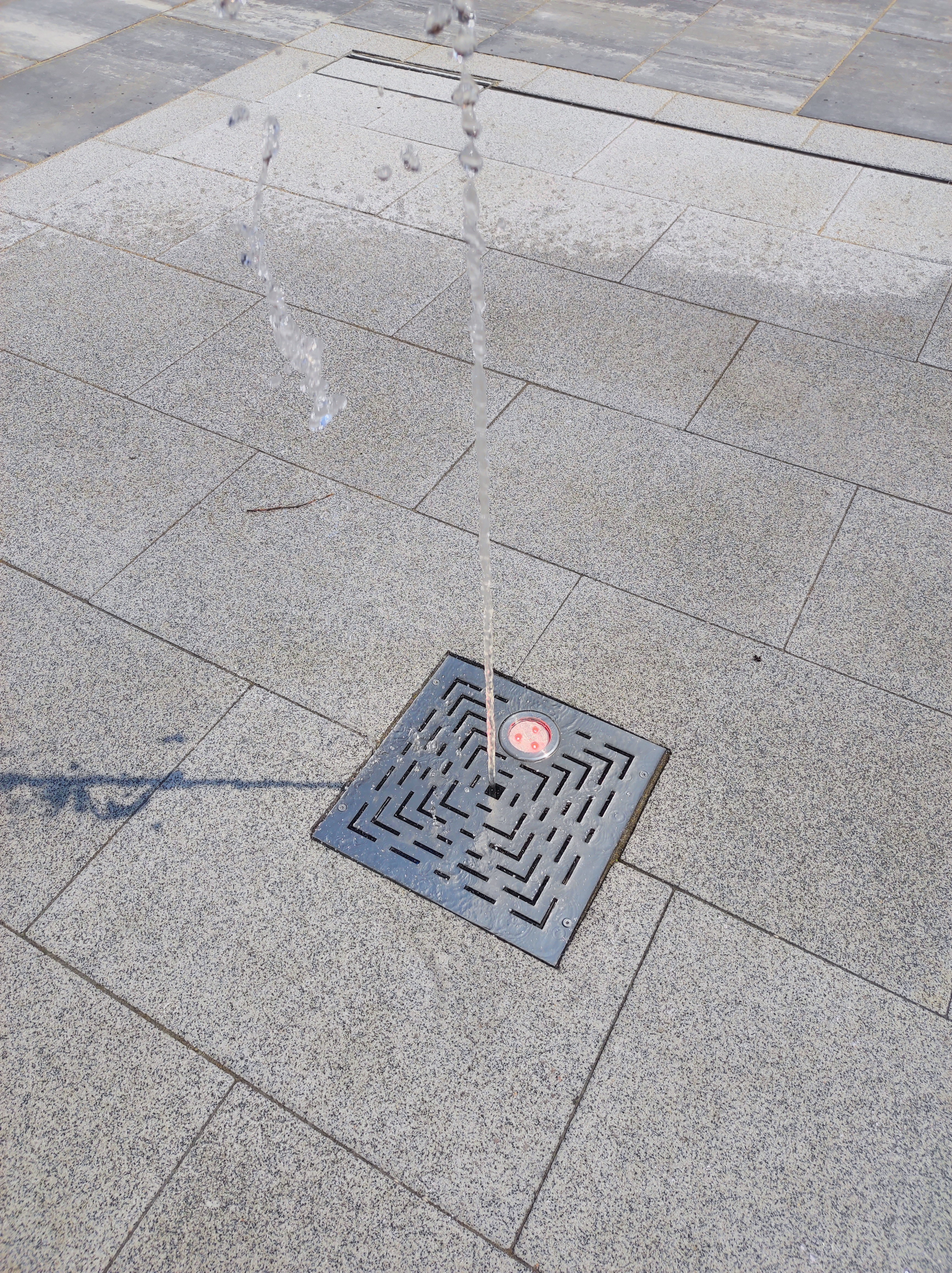 immagine di galleria