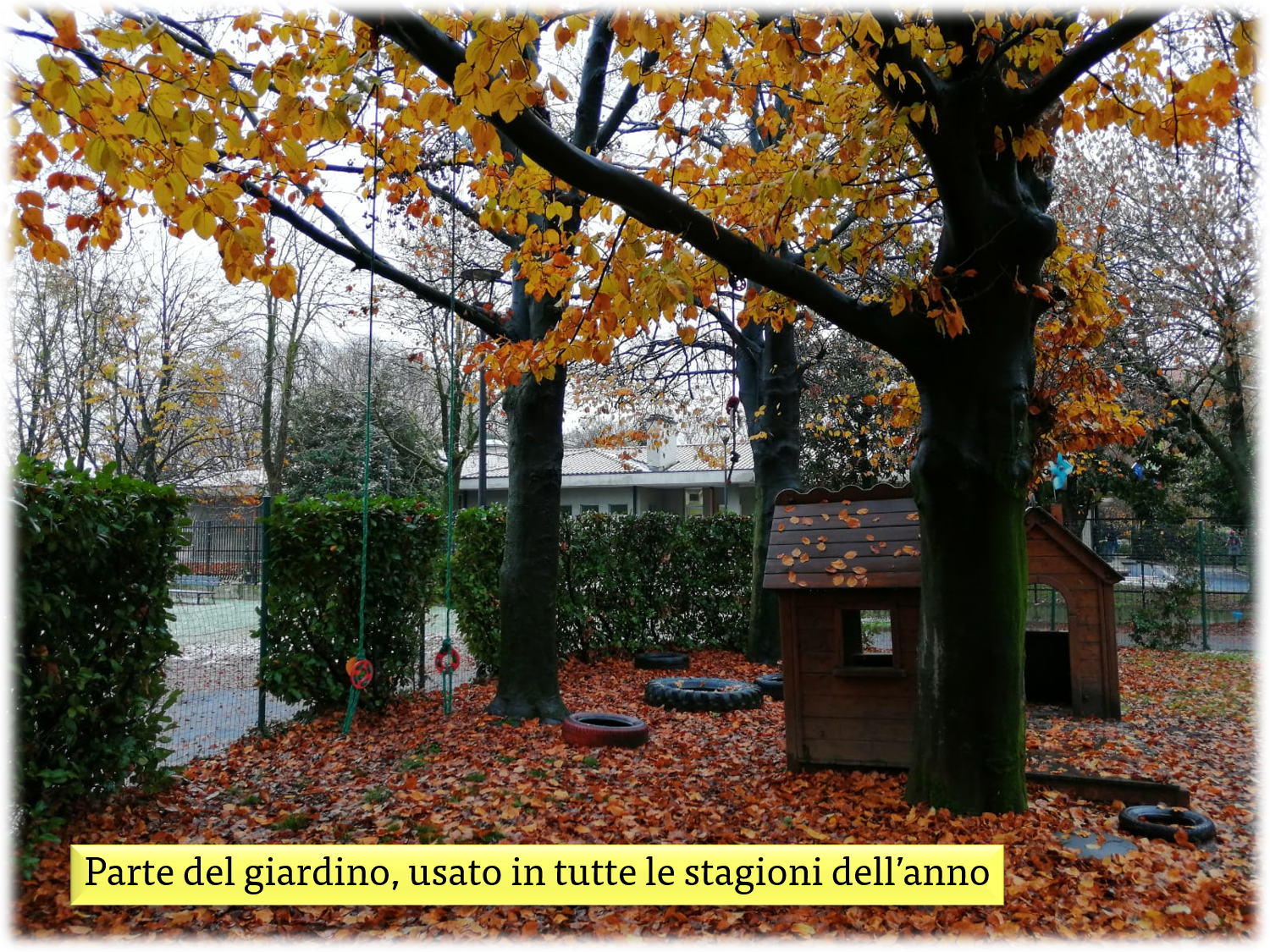 immagine di galleria