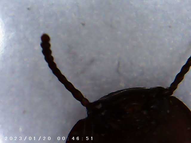 immagine di galleria