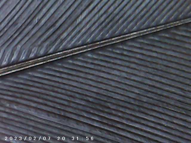 immagine di galleria 'Scatti al microscopio: laboratorio di Giocheria “Curiosi di natura”'