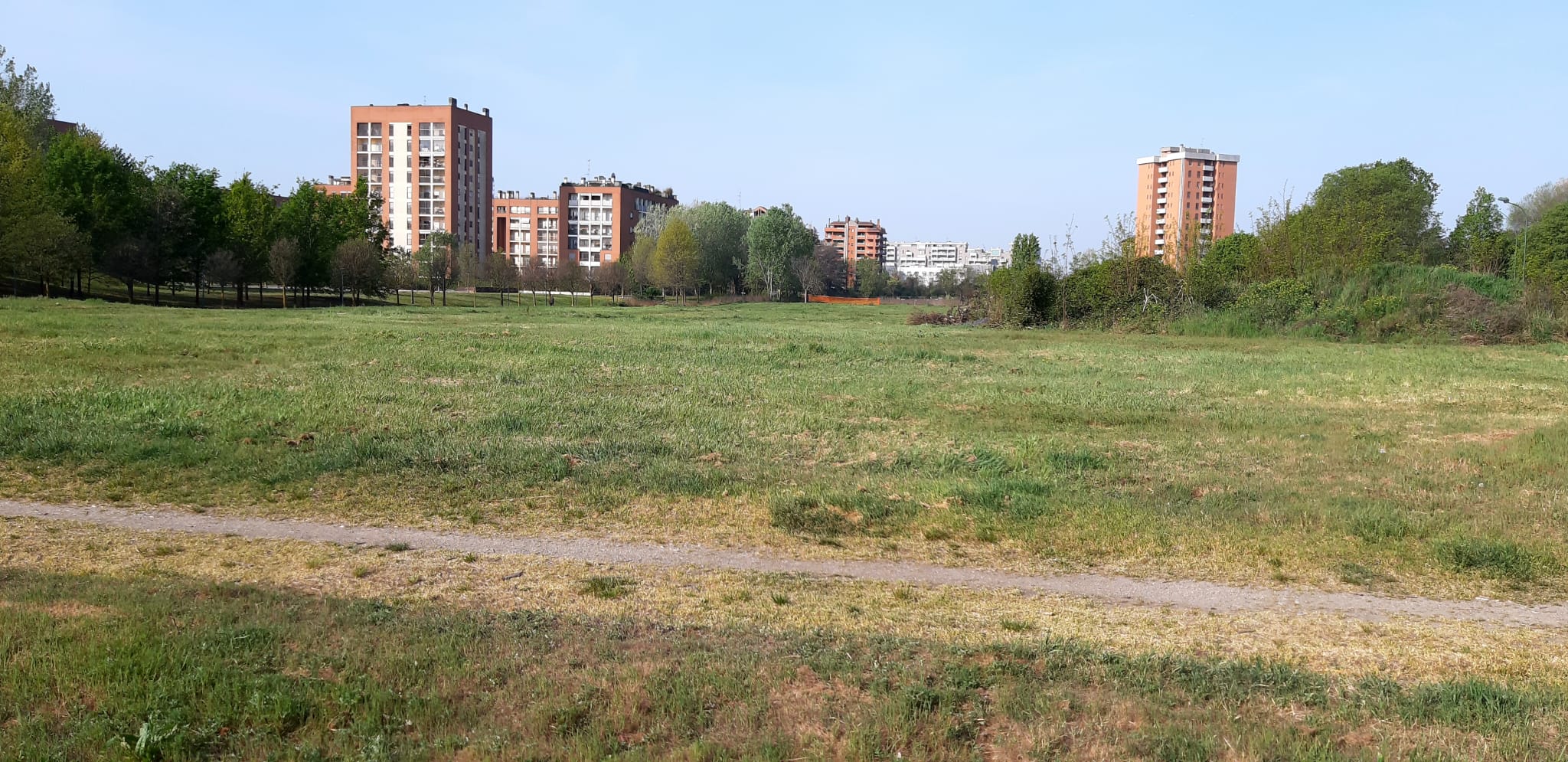 immagine di galleria