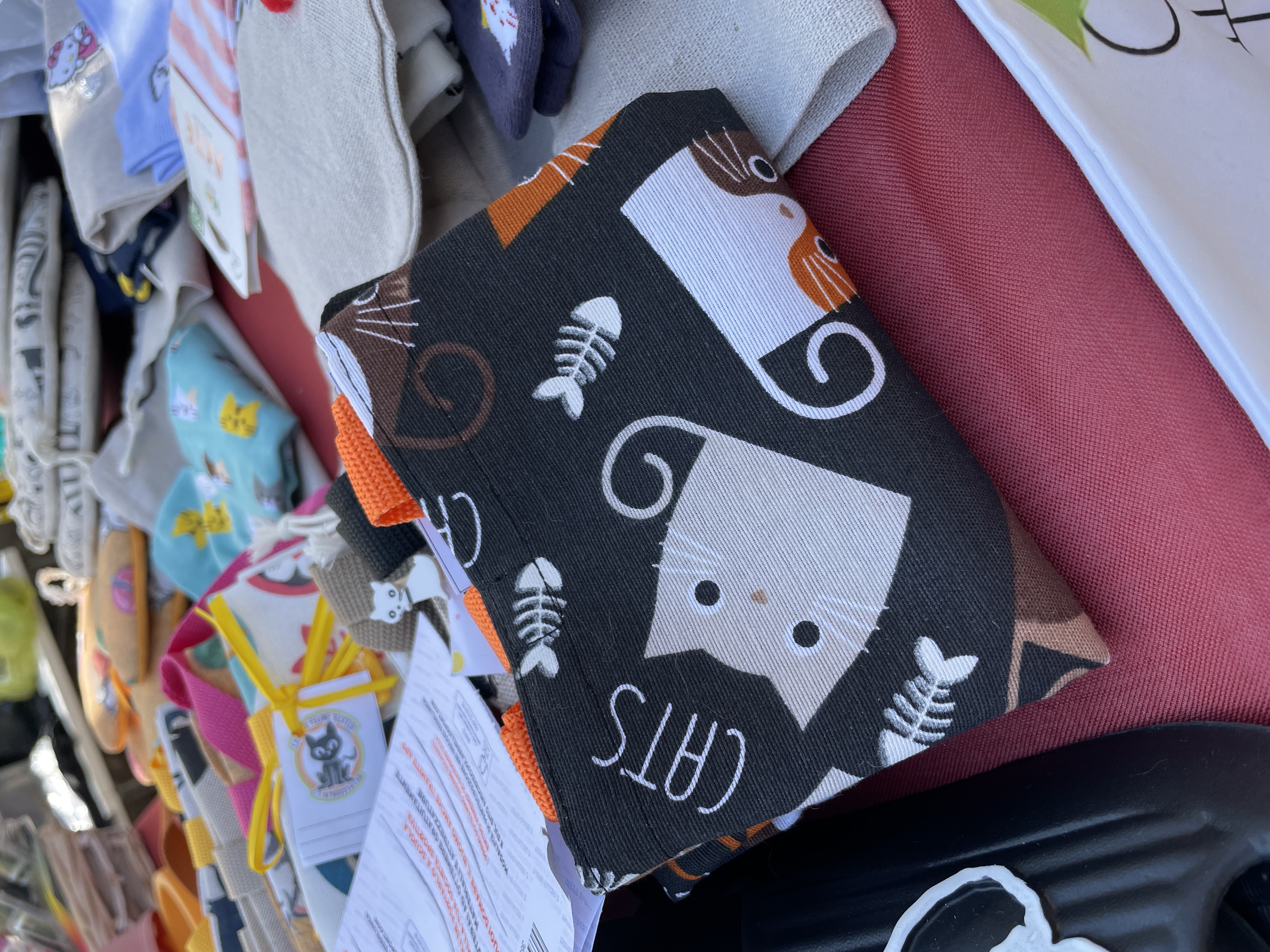 immagine di galleria 'Festa dello Sport, del Volontariato e della Salute 2024'