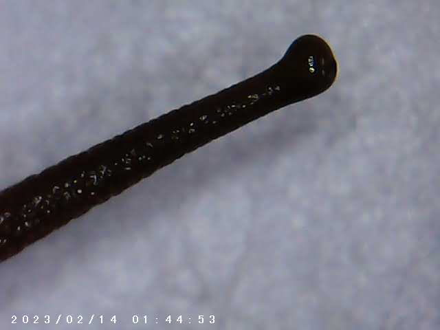 immagine di galleria