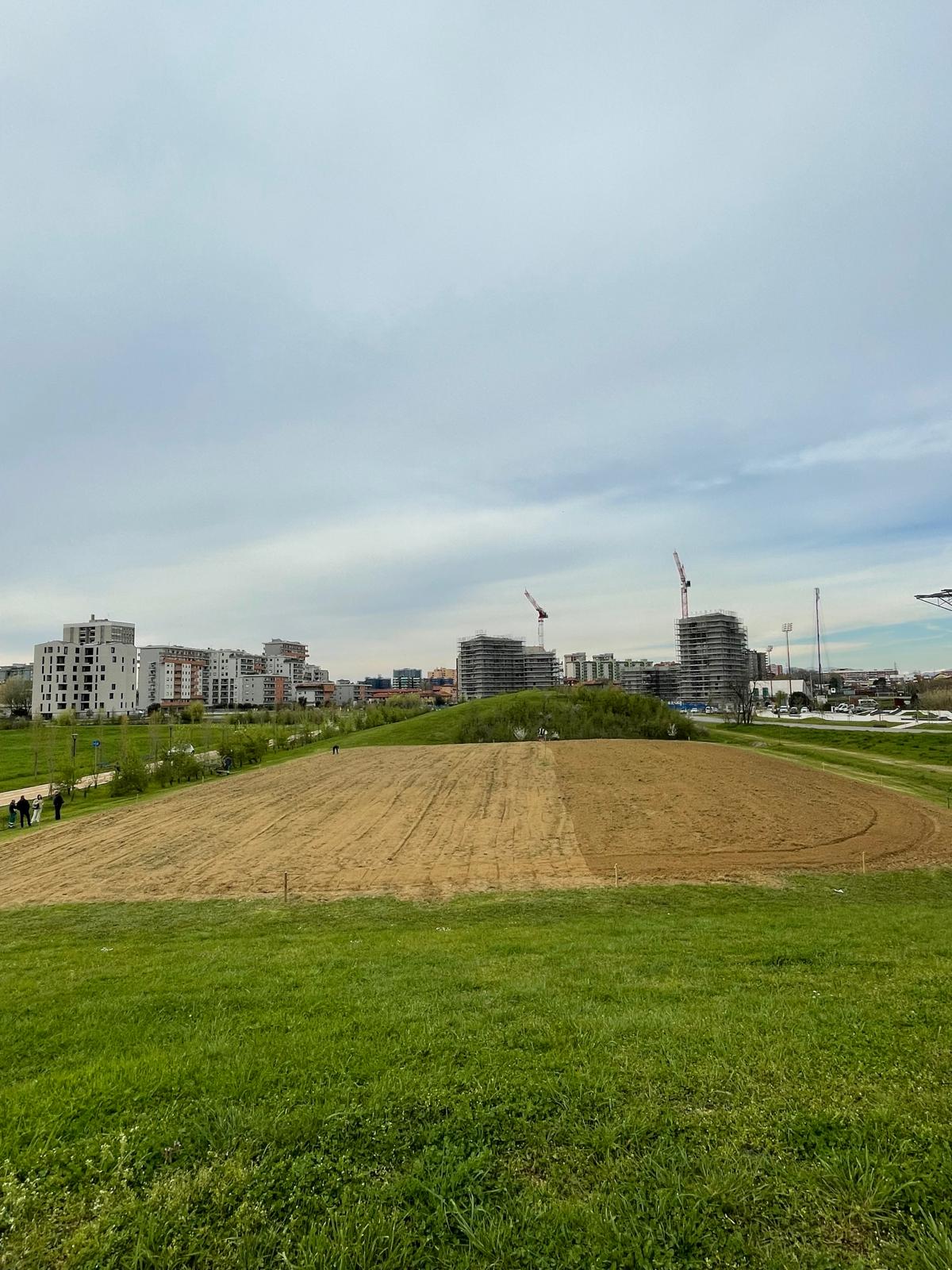 immagine di galleria 'Prato fiorito alla Bergamella'
