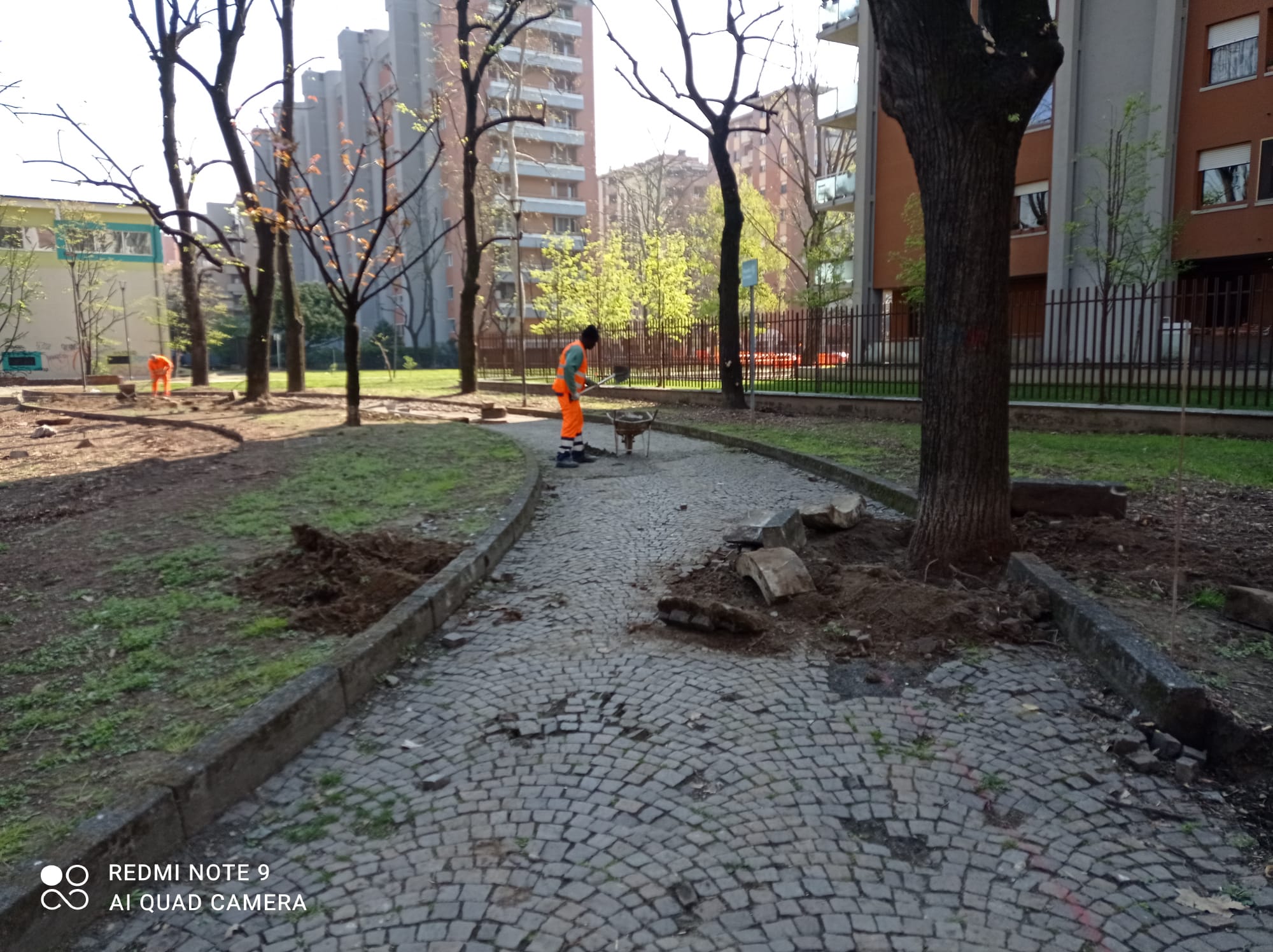 immagine di galleria 'Riqualificazione del giardino Norma Cossetto'