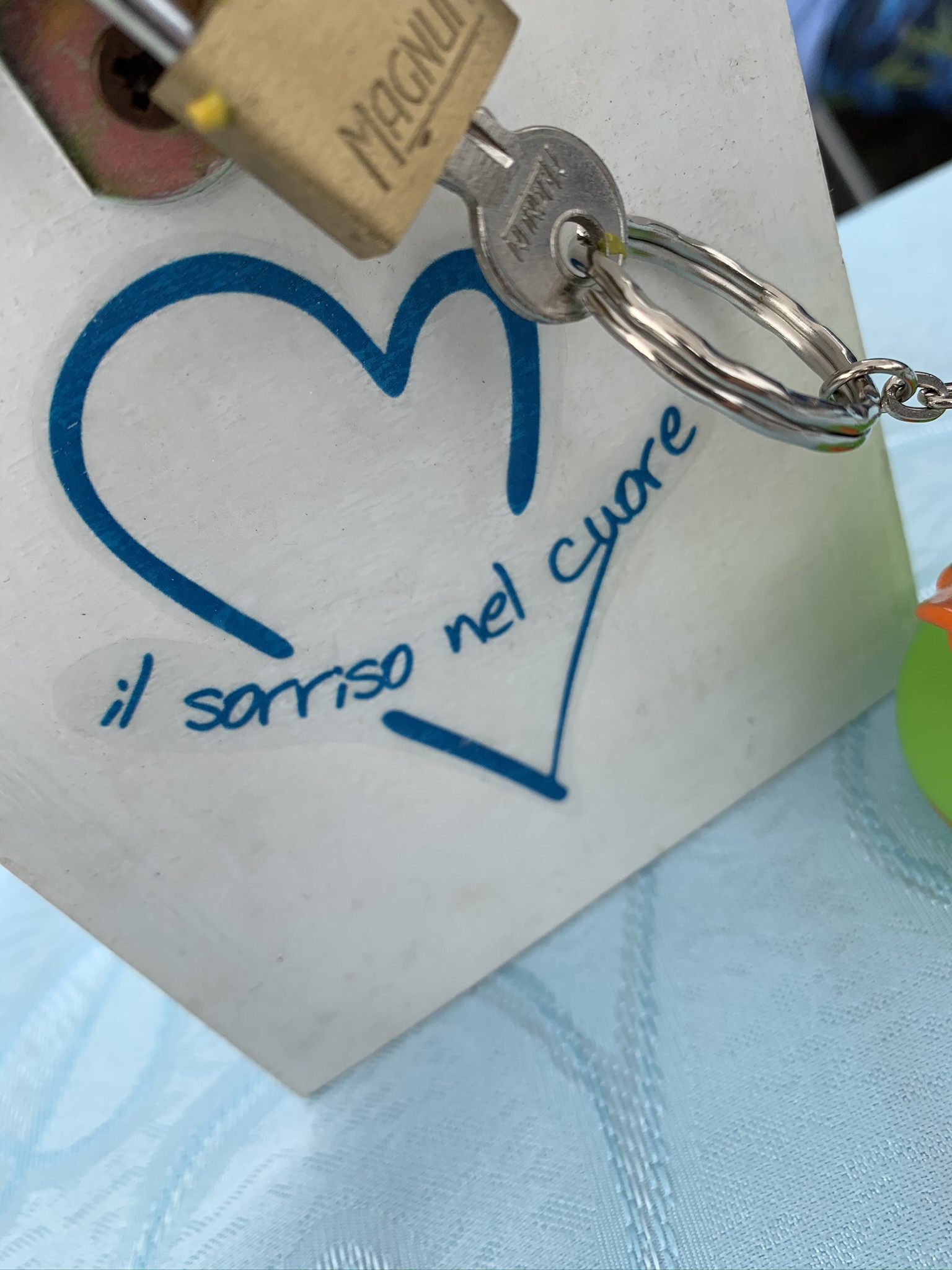 immagine di galleria