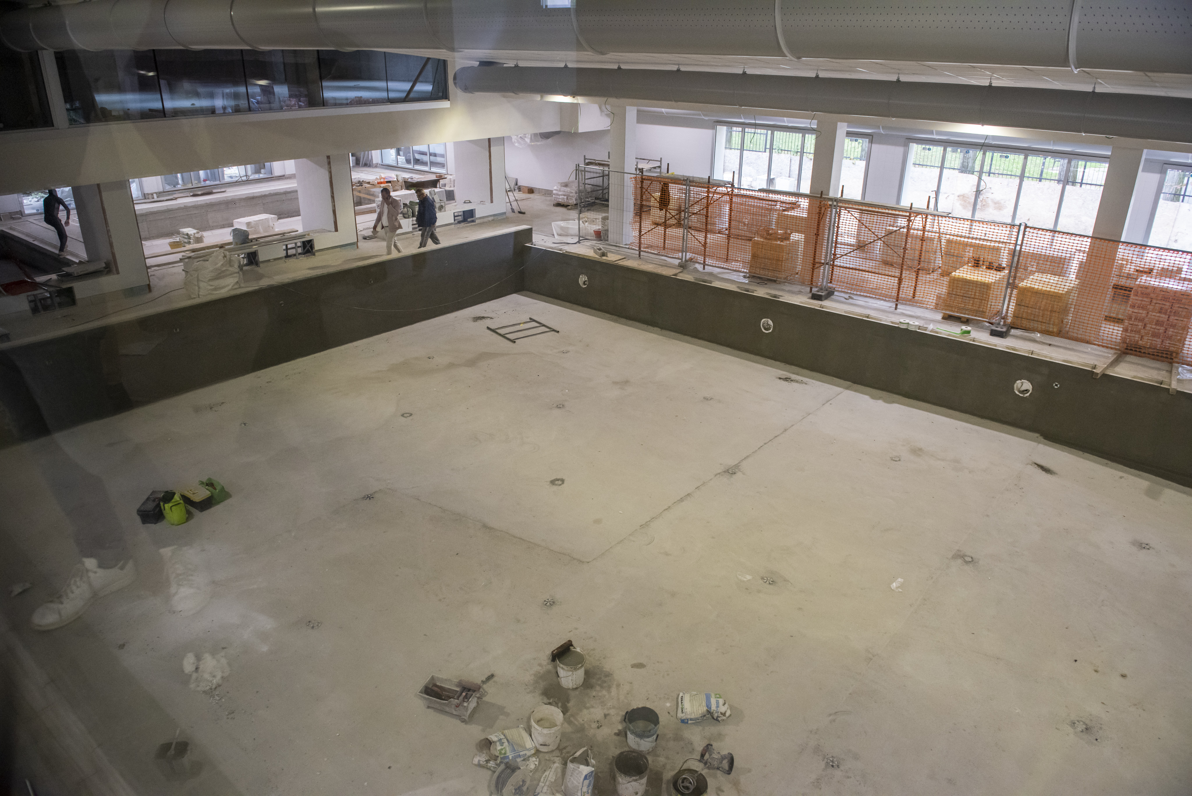 immagine di galleria