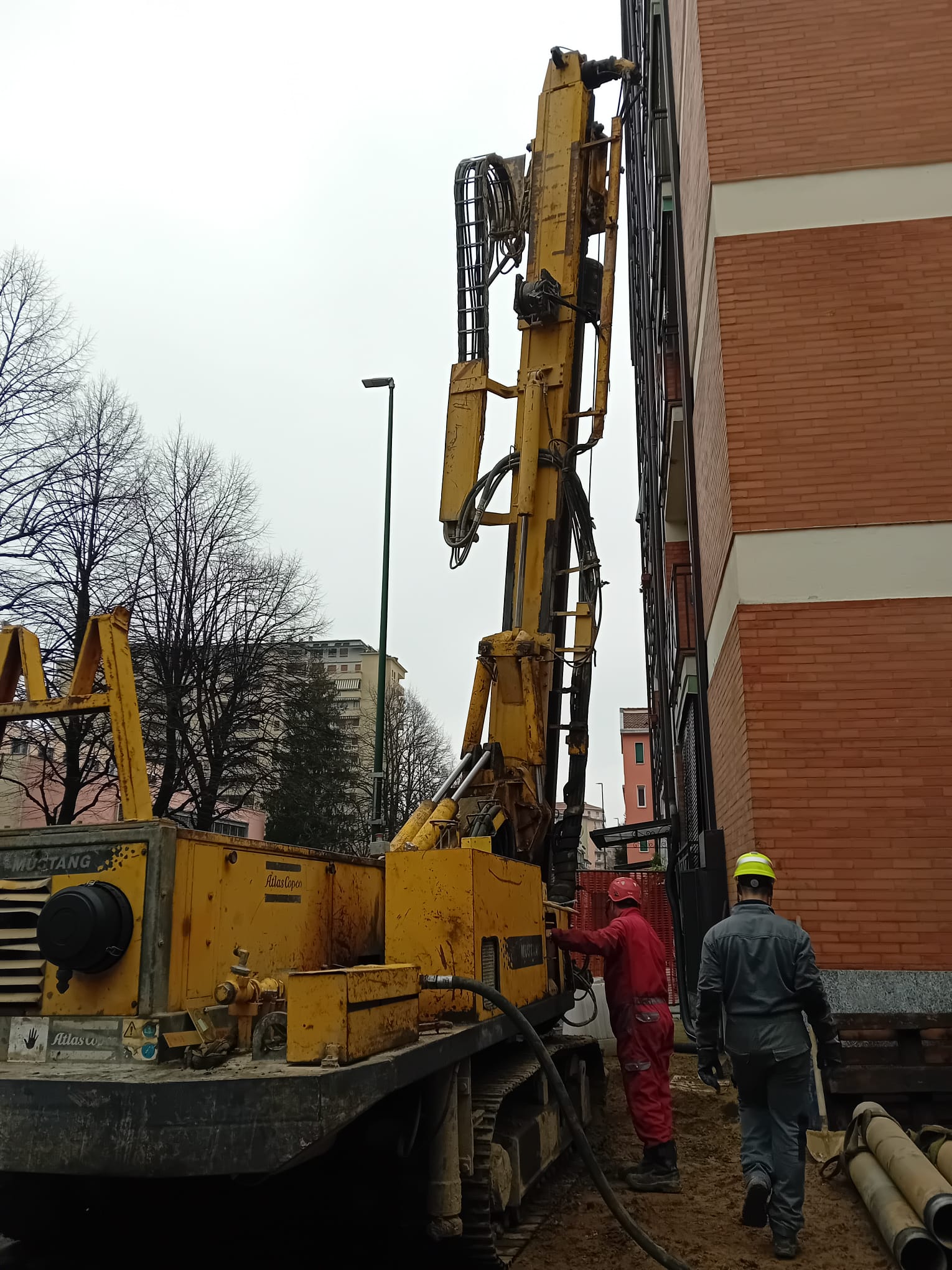 immagine di galleria