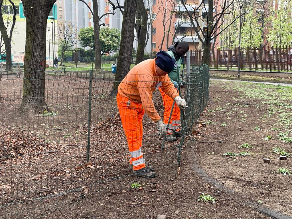 immagine di galleria 'Riqualificazione del giardino Norma Cossetto'