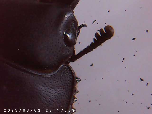 immagine di galleria