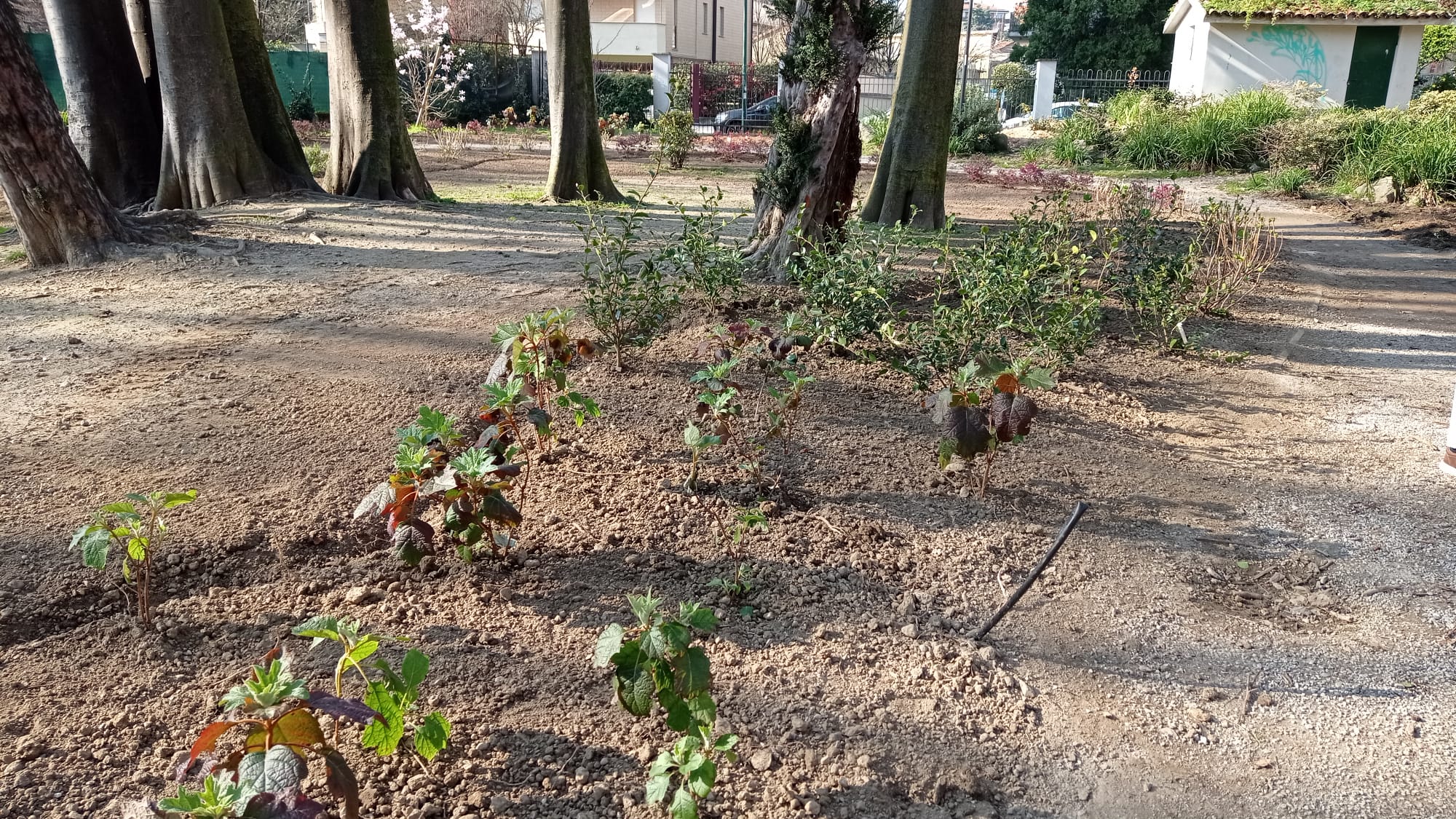 immagine di galleria