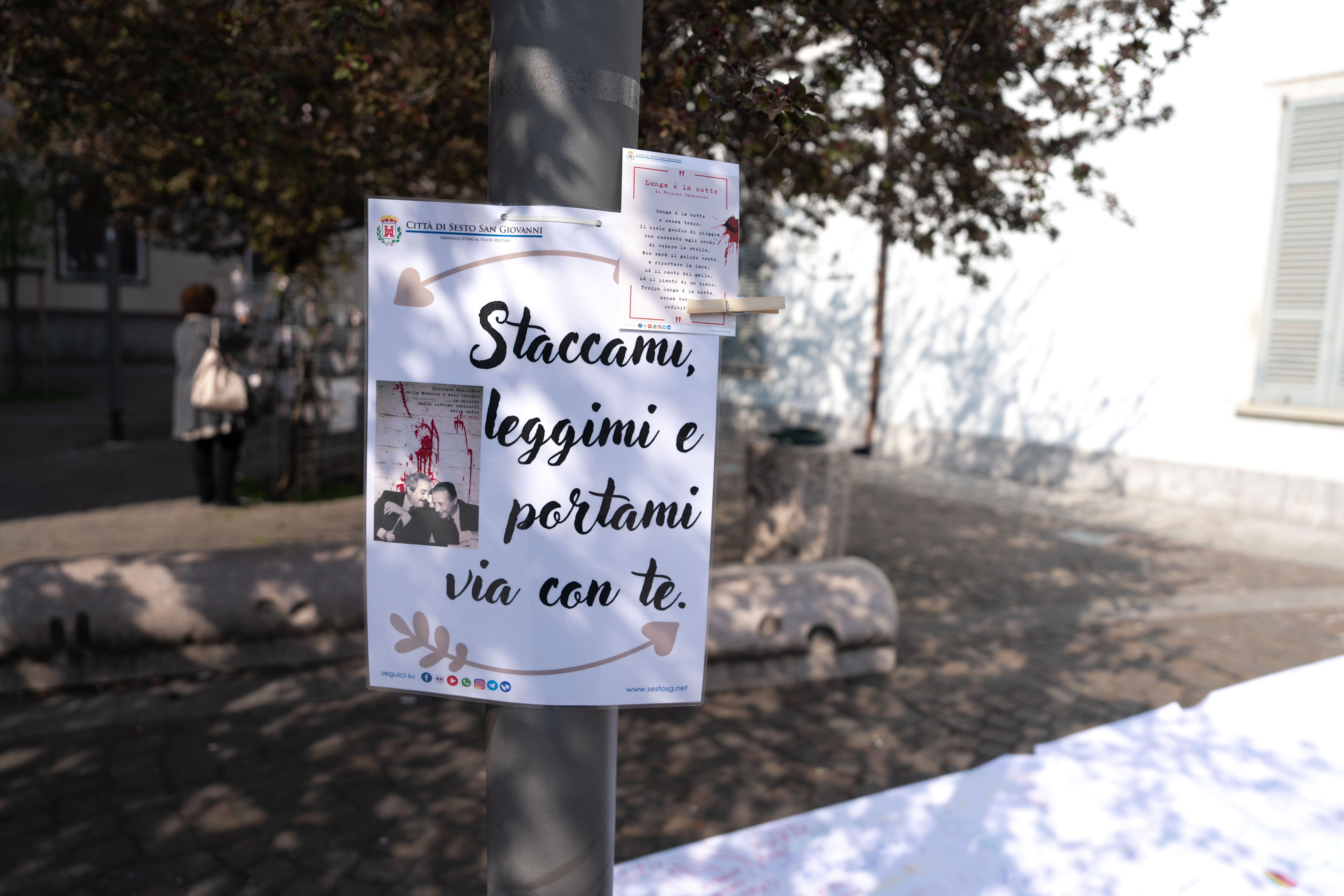 immagine di galleria