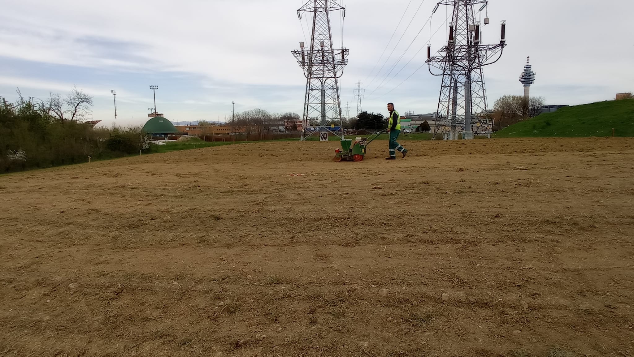 immagine di galleria