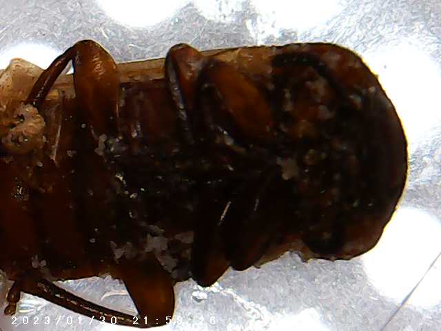 immagine di galleria