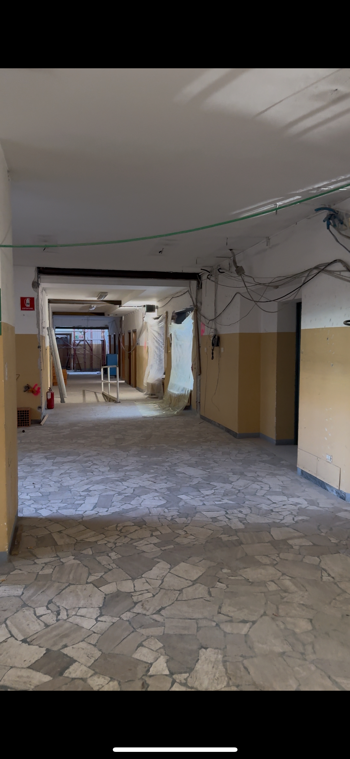 immagine di galleria