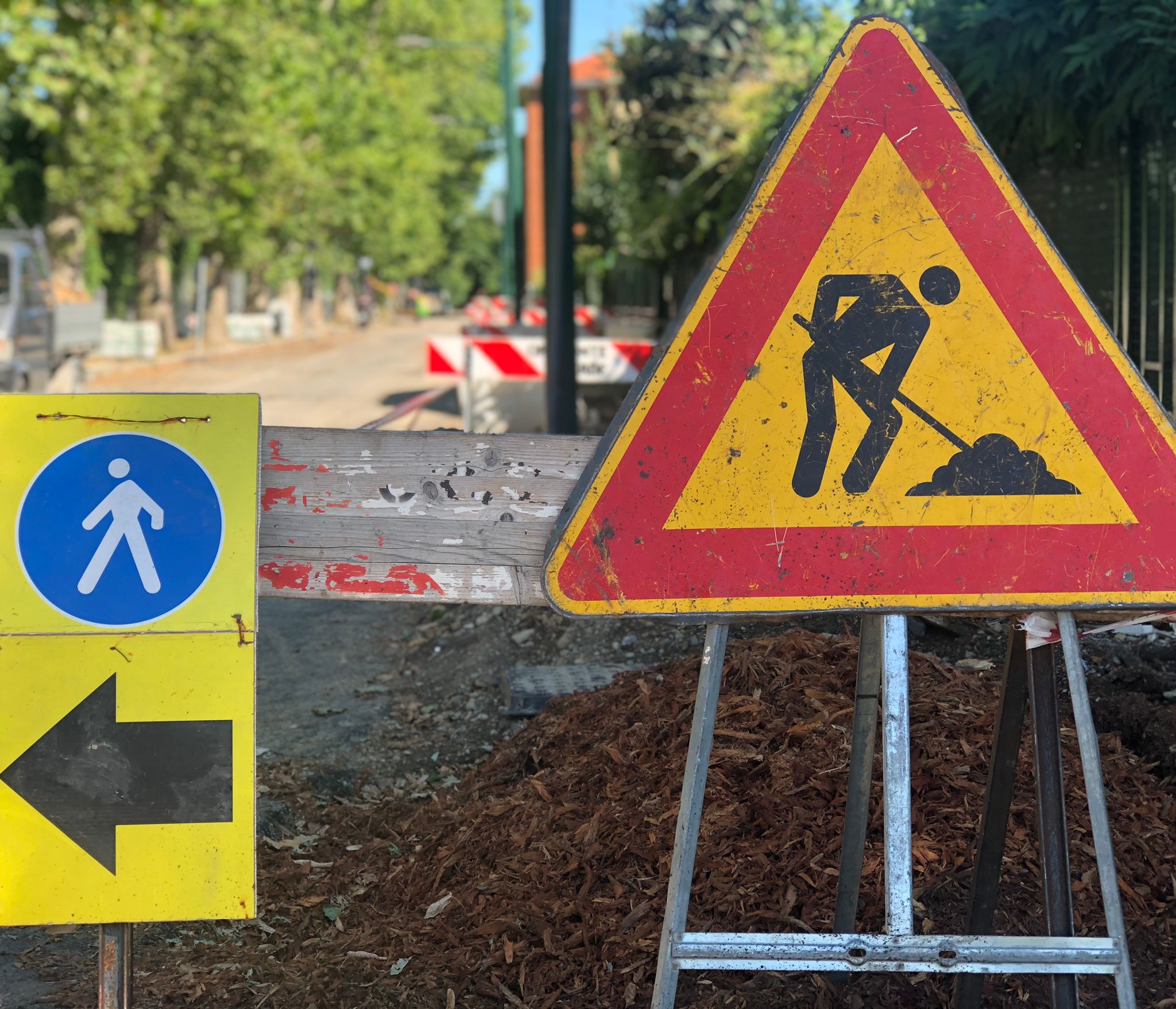 immagine di galleria