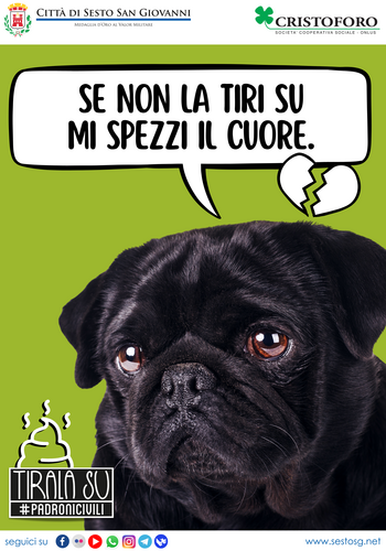 immagine di galleria 'Hai un cane? Devi raccogliere la sua cacca'