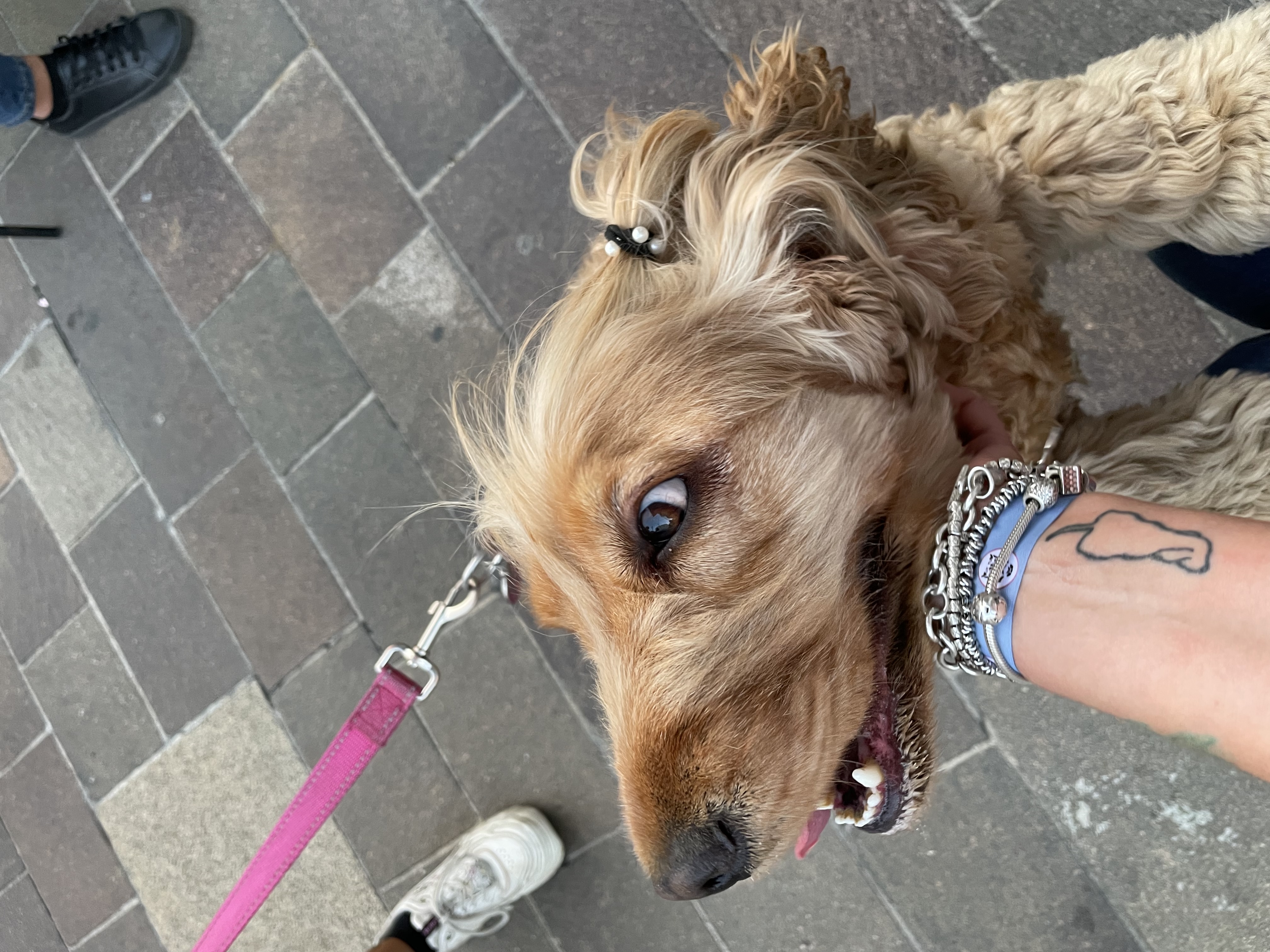 immagine di galleria