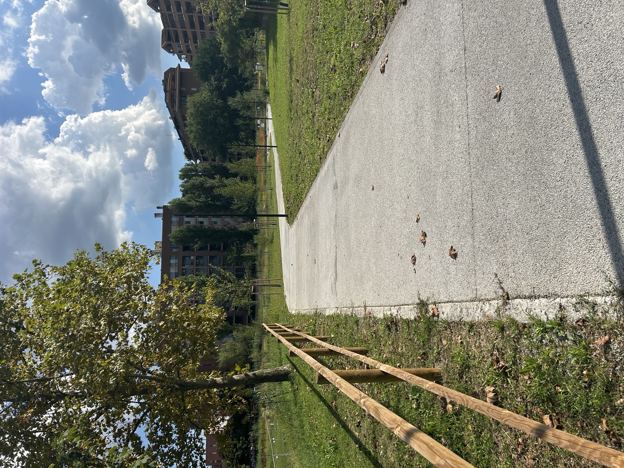 immagine di galleria