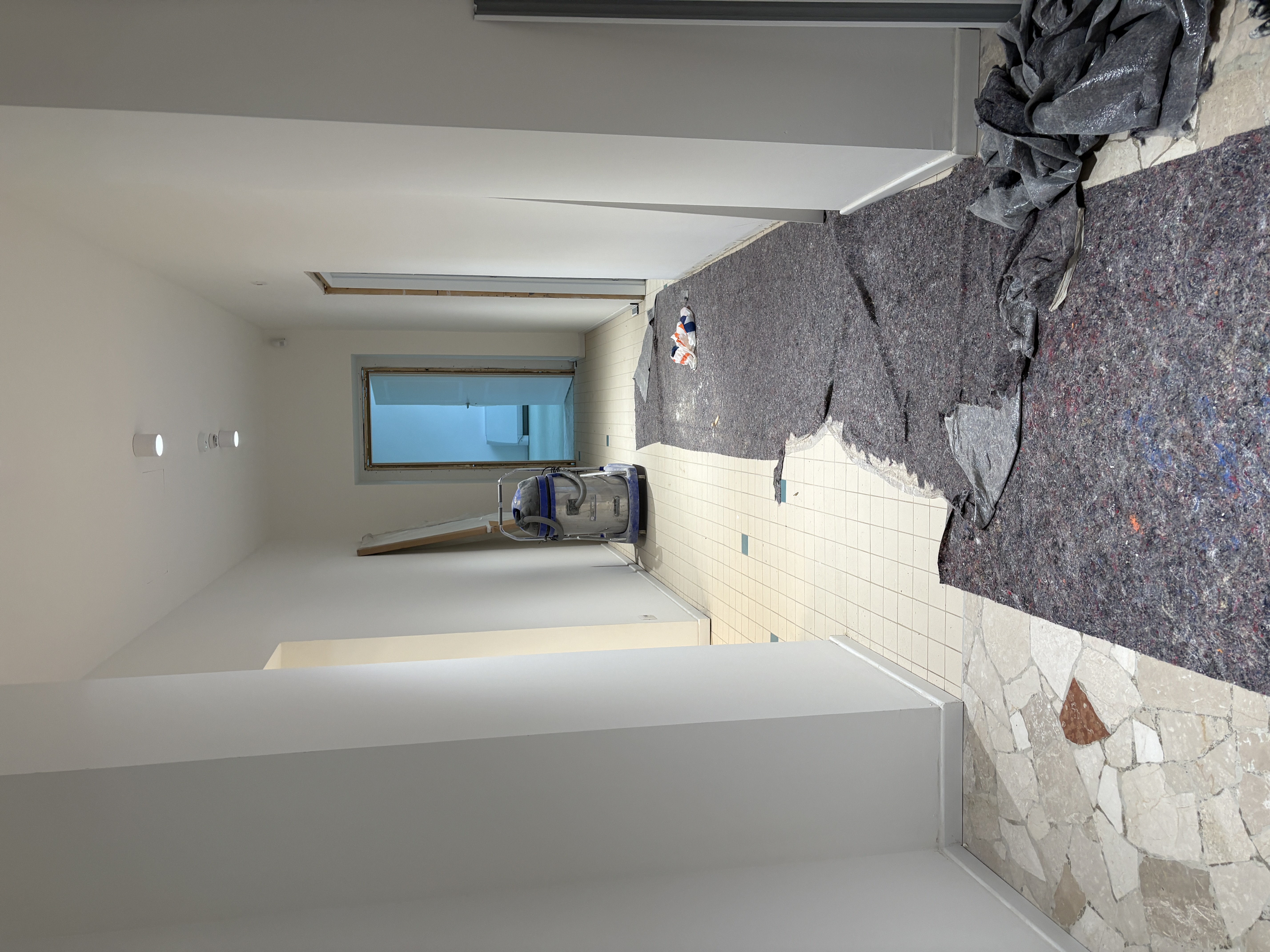 immagine di galleria