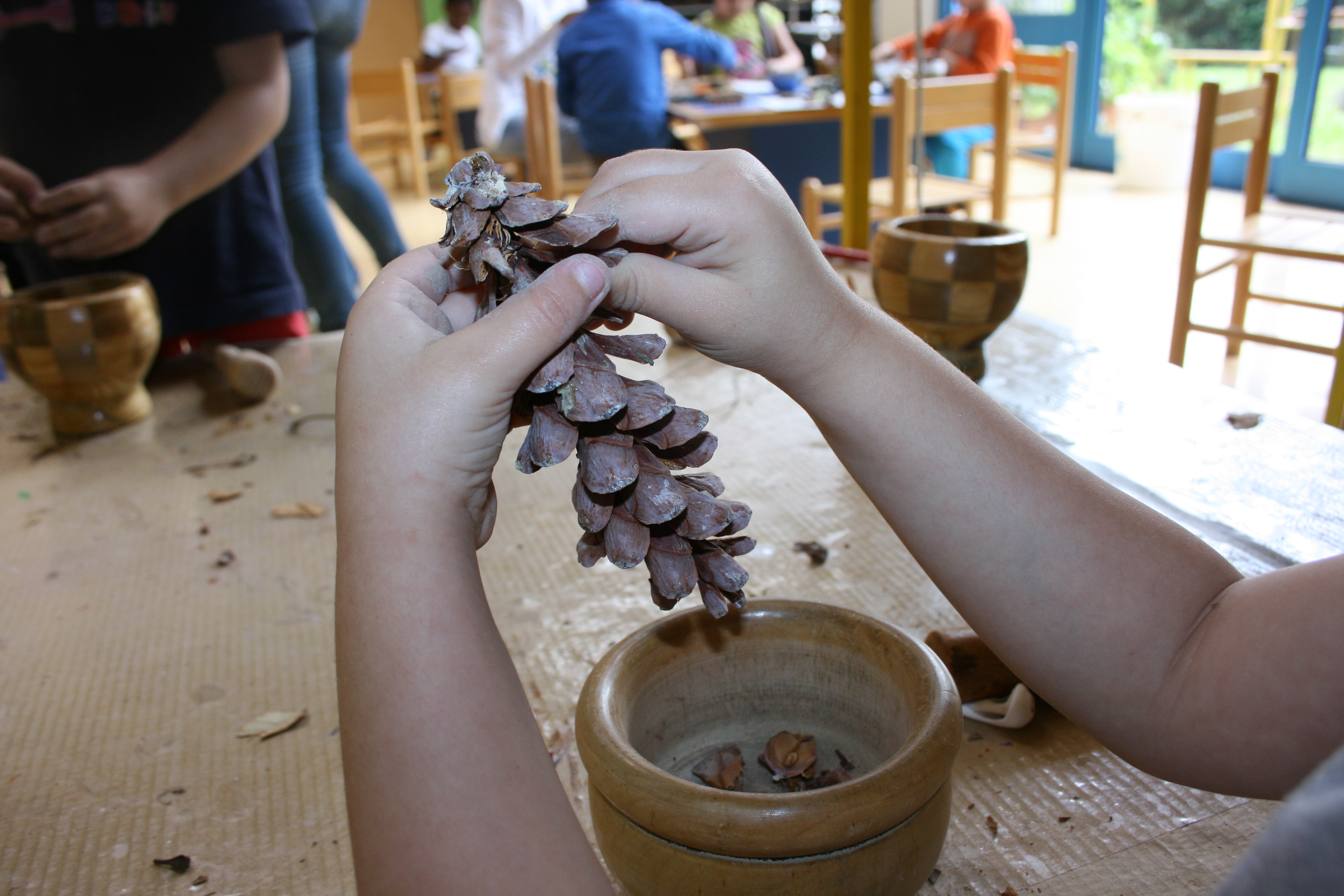 immagine di galleria