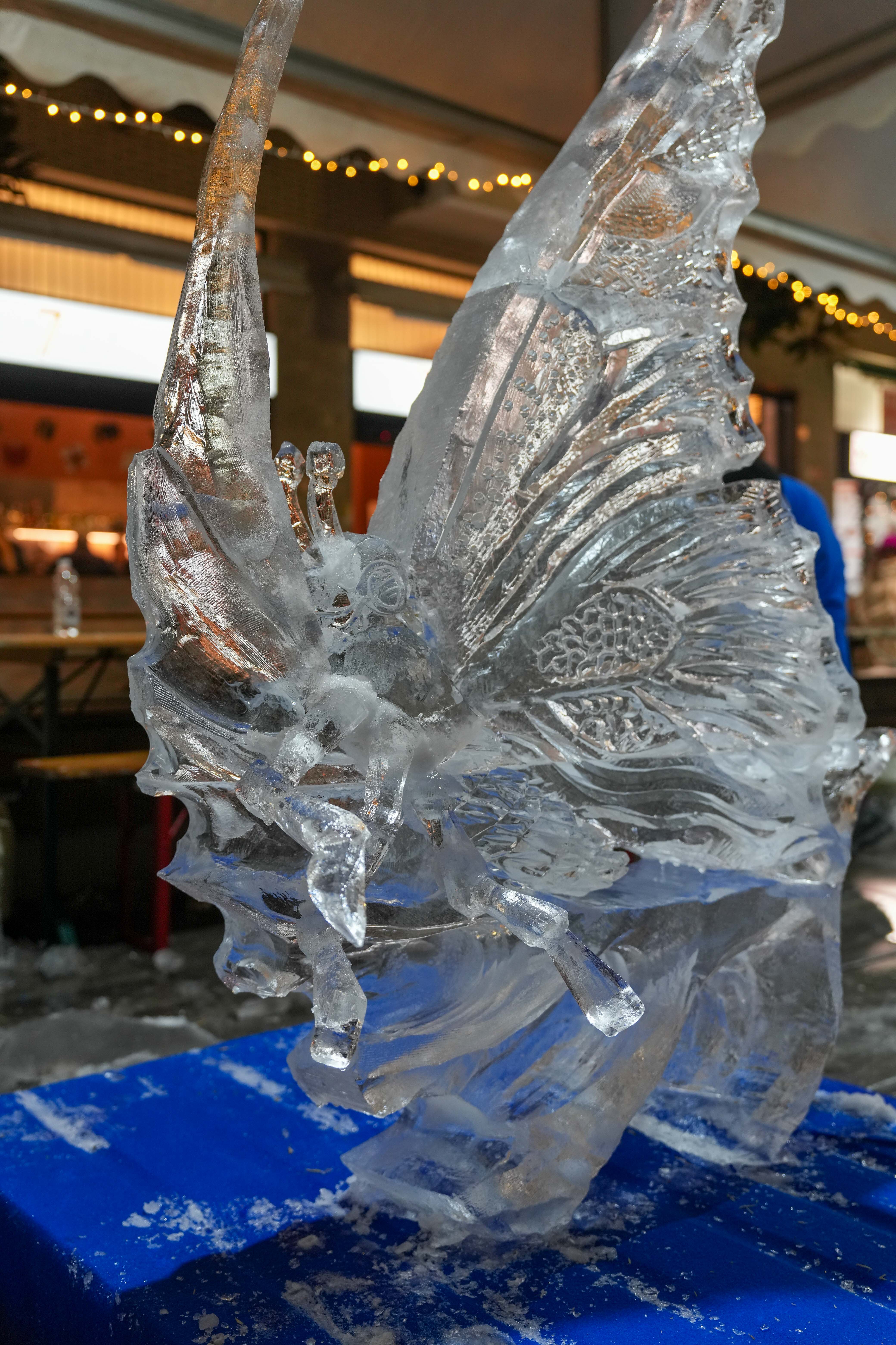 immagine di galleria 'World Ice Art Championship'