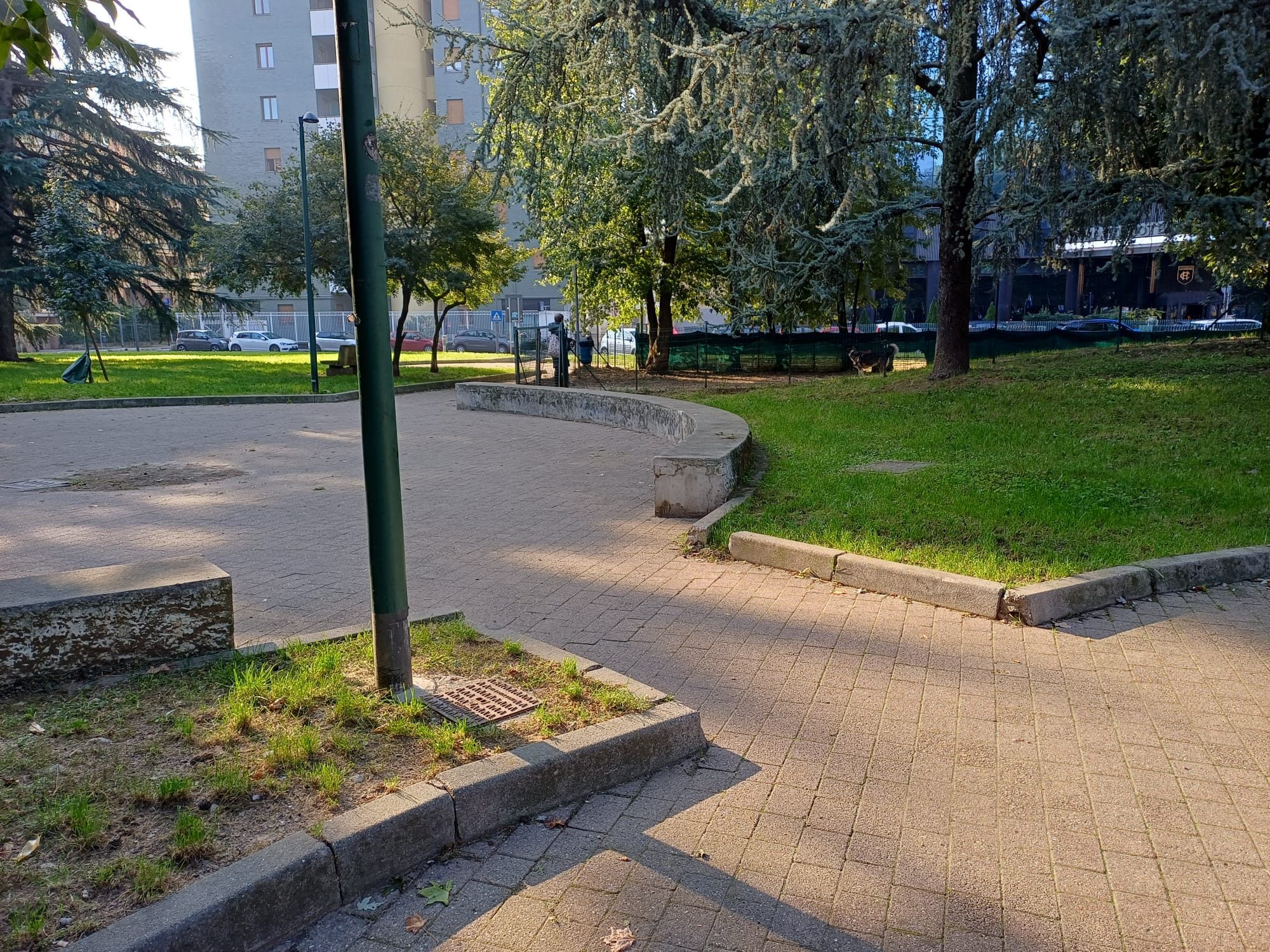 immagine di galleria