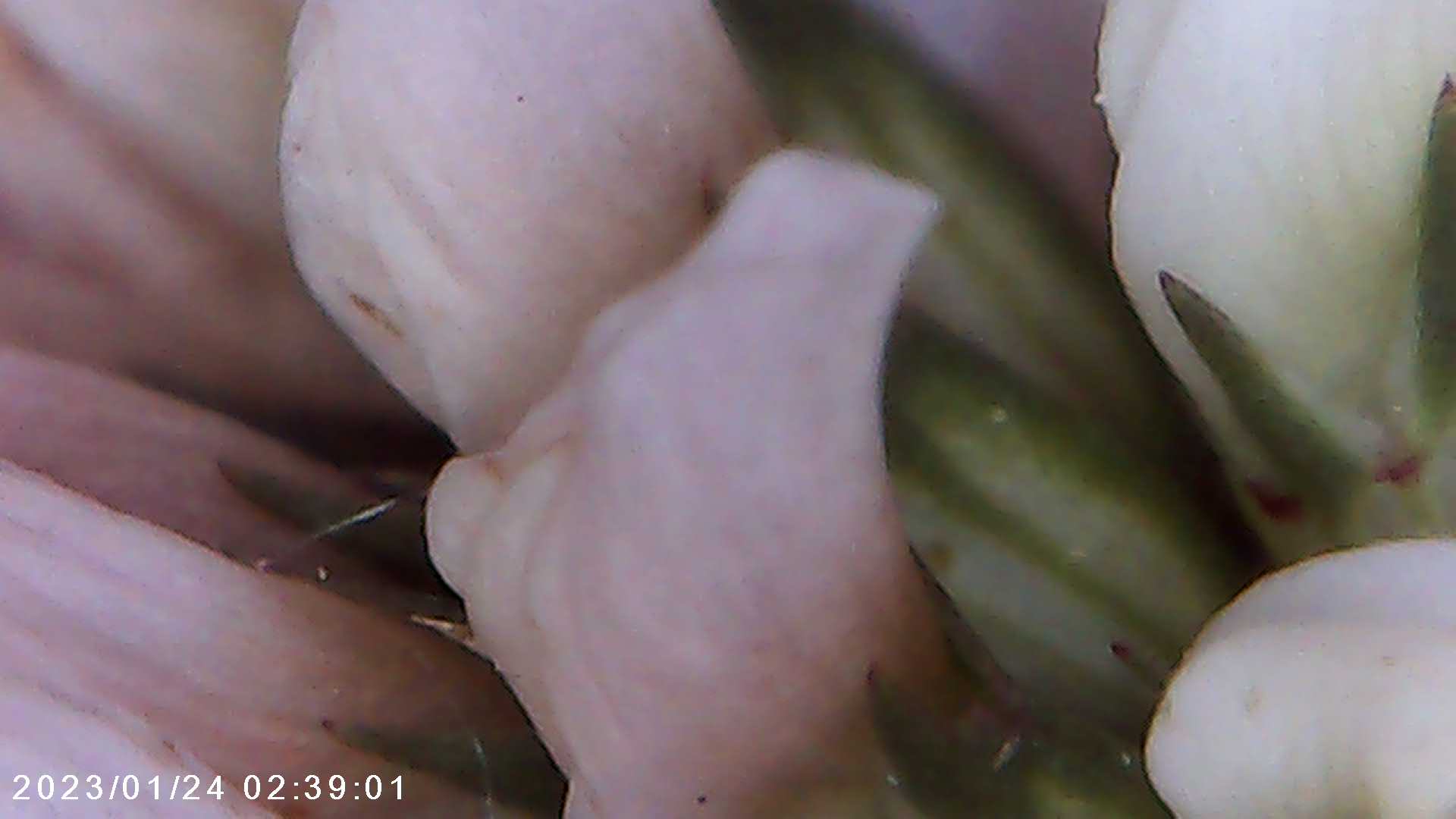 immagine di galleria