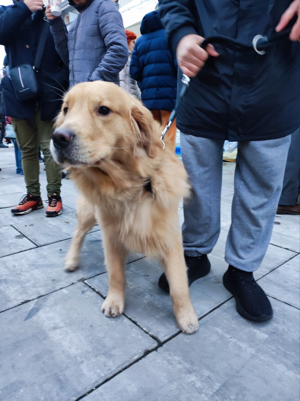 immagine di galleria