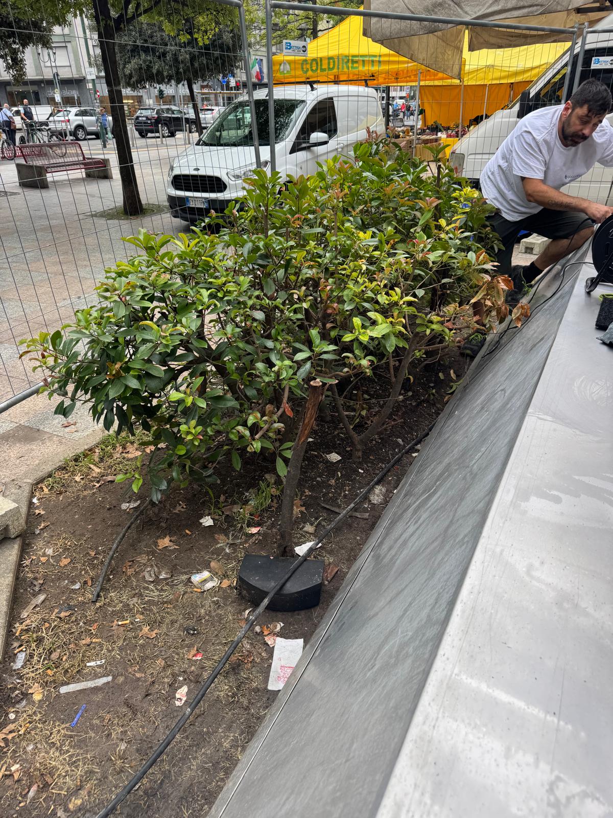 immagine di galleria