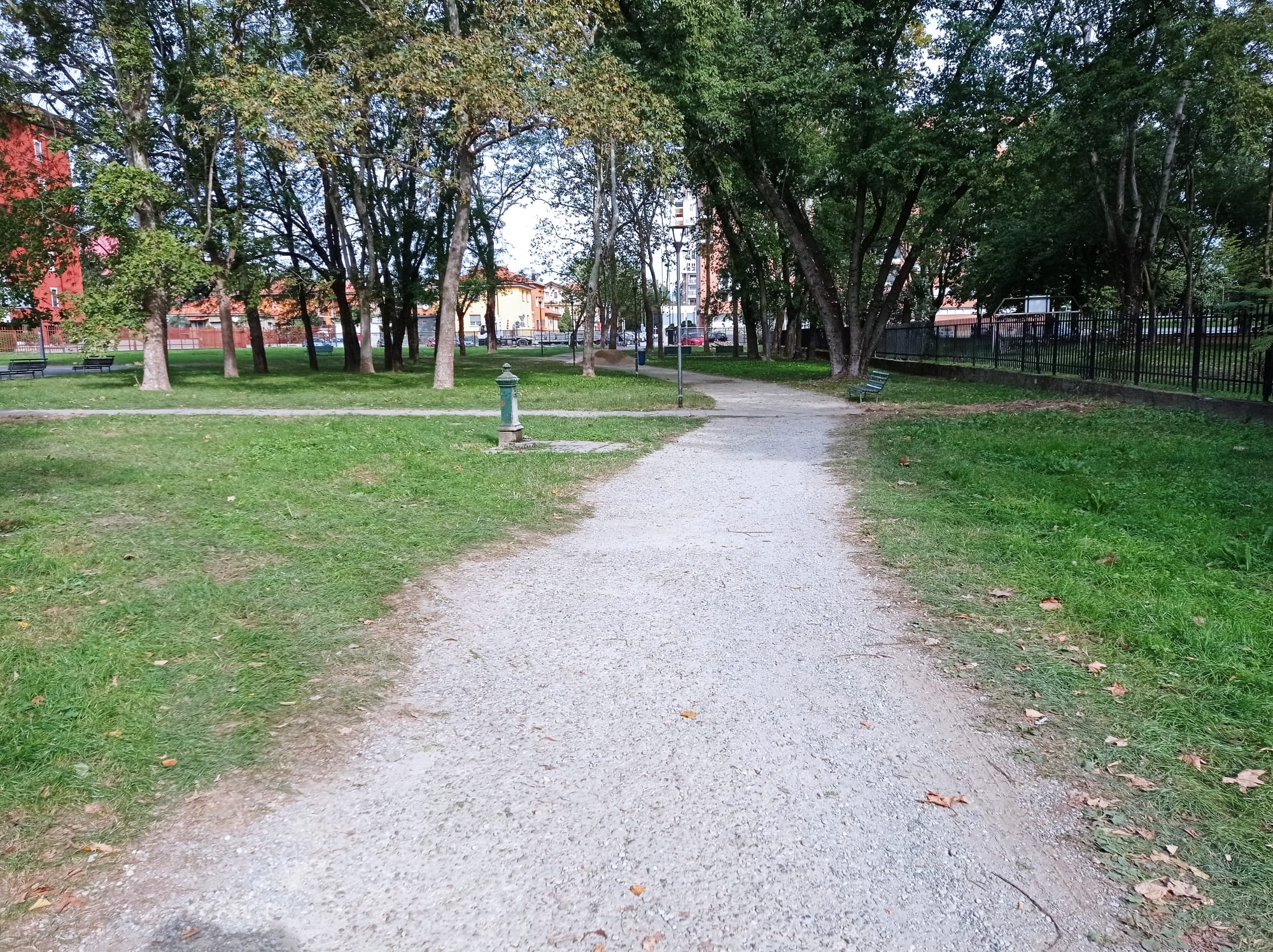 immagine di galleria