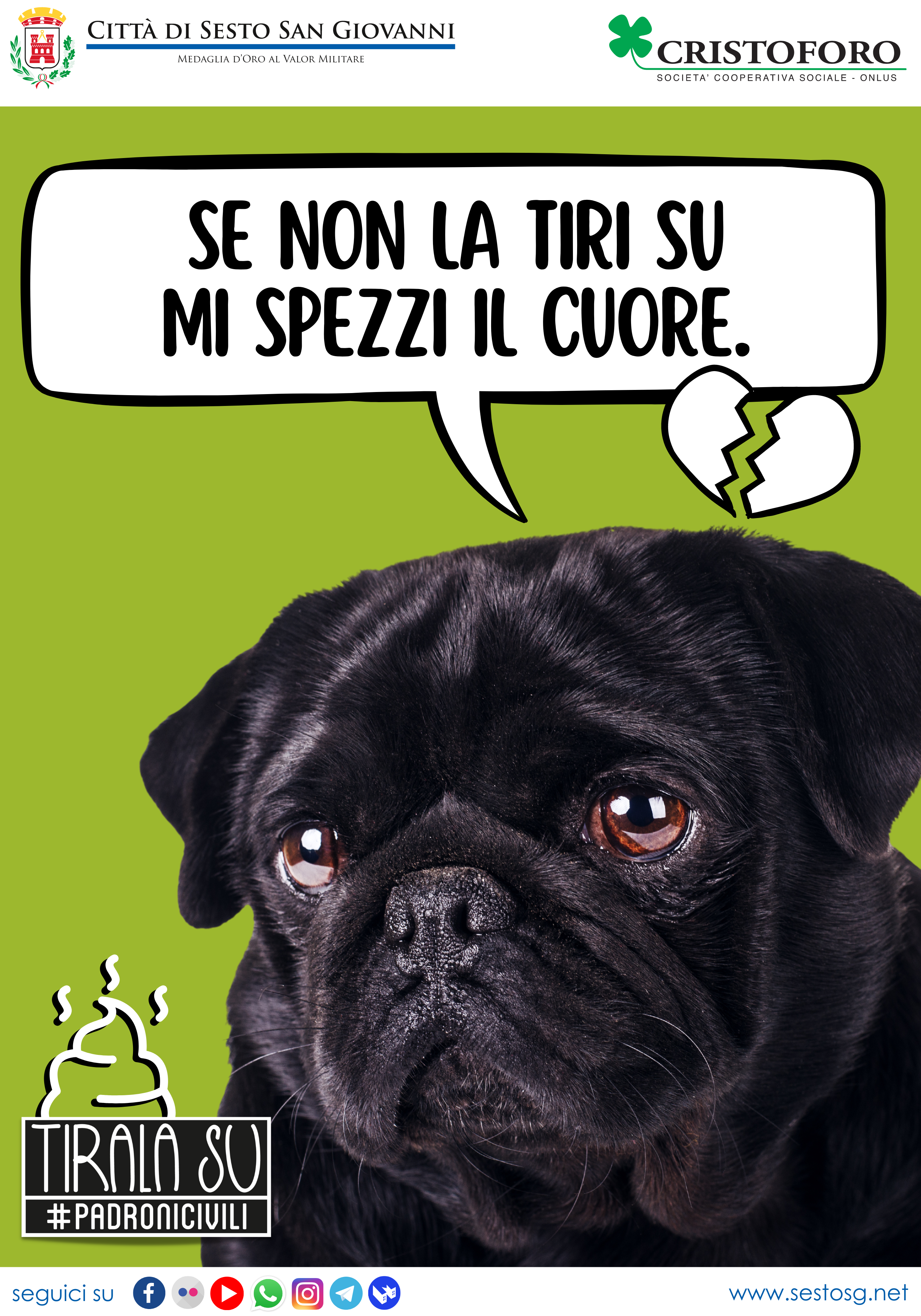 immagine di galleria