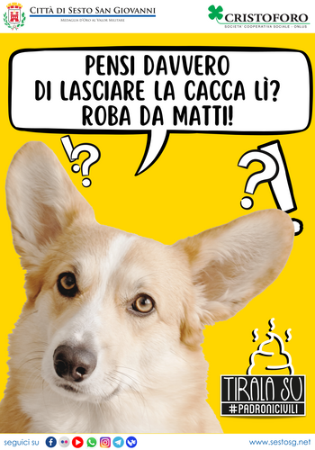 immagine di galleria 'Hai un cane? Devi raccogliere la sua cacca'
