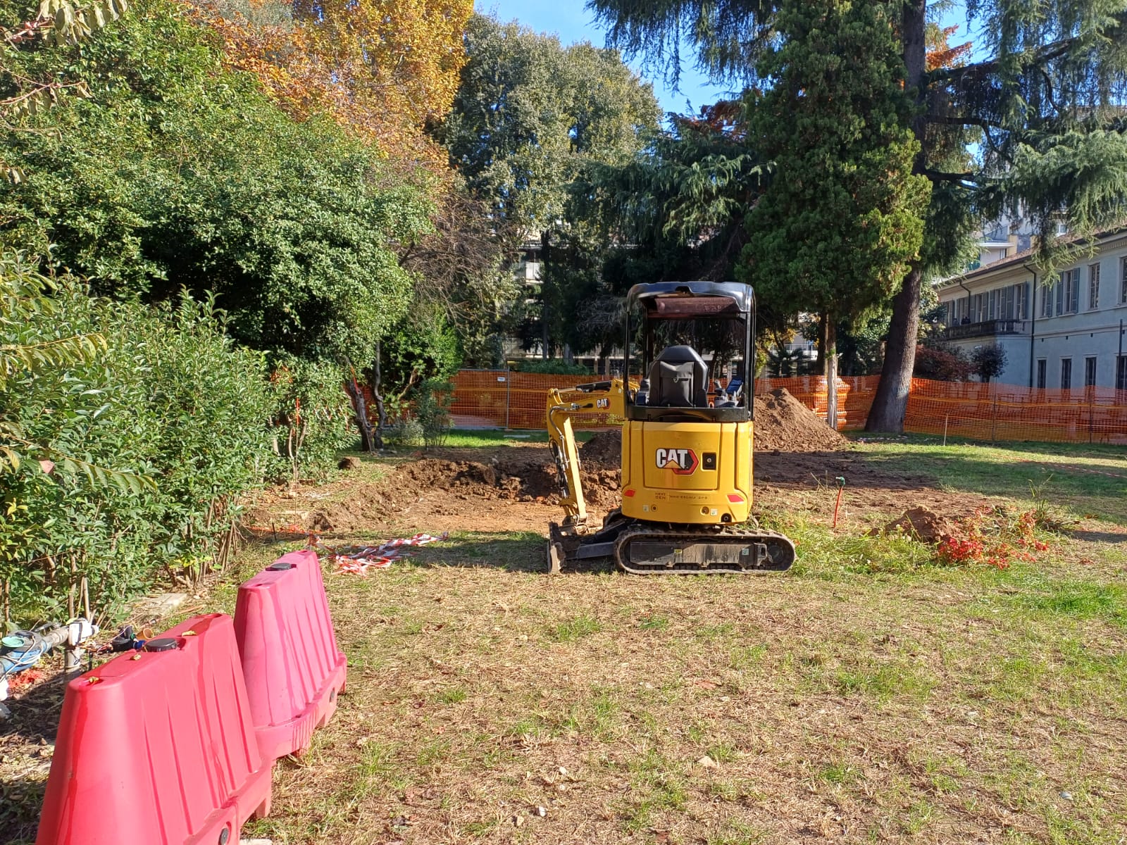 immagine di galleria