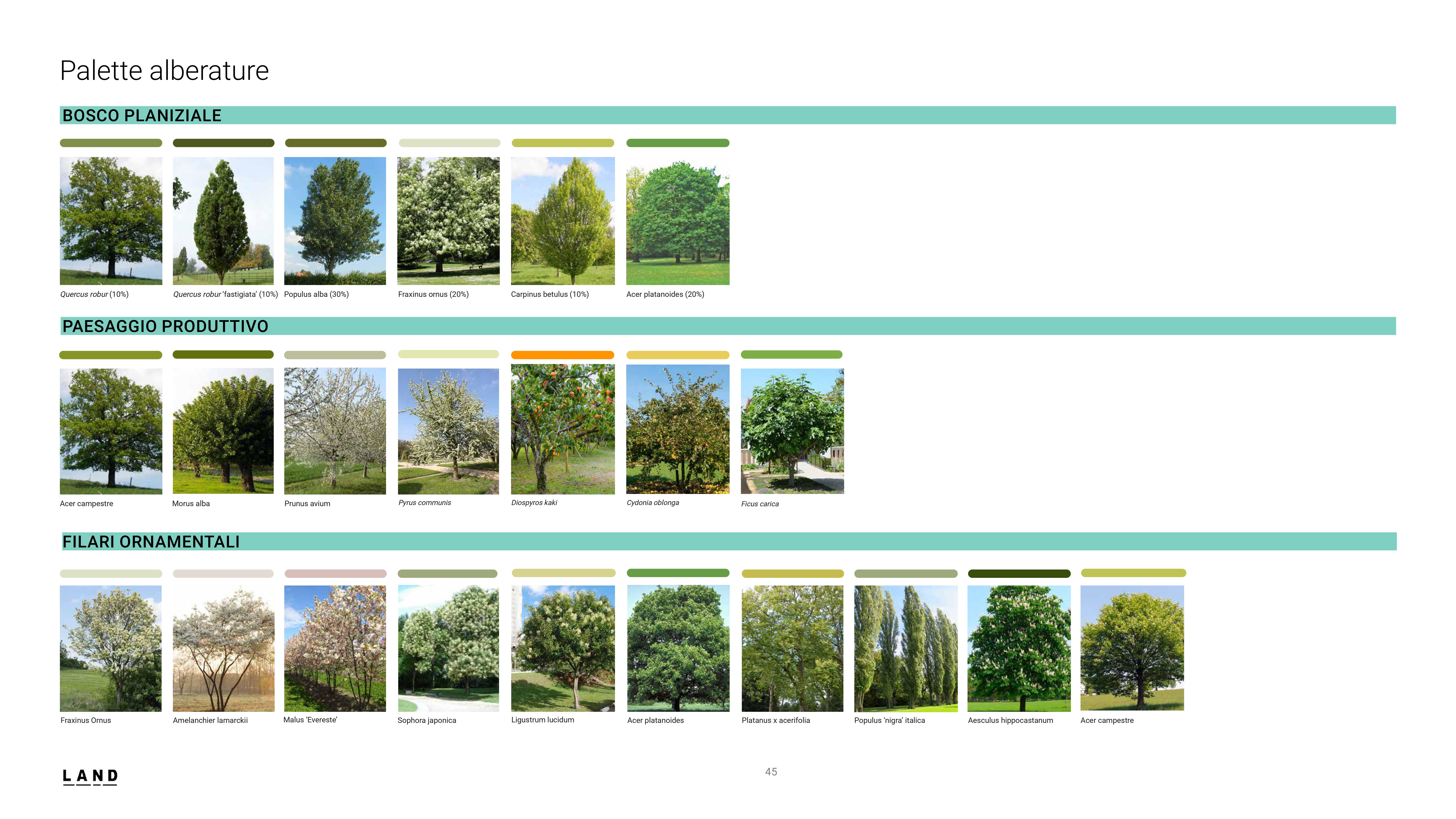 immagine di galleria